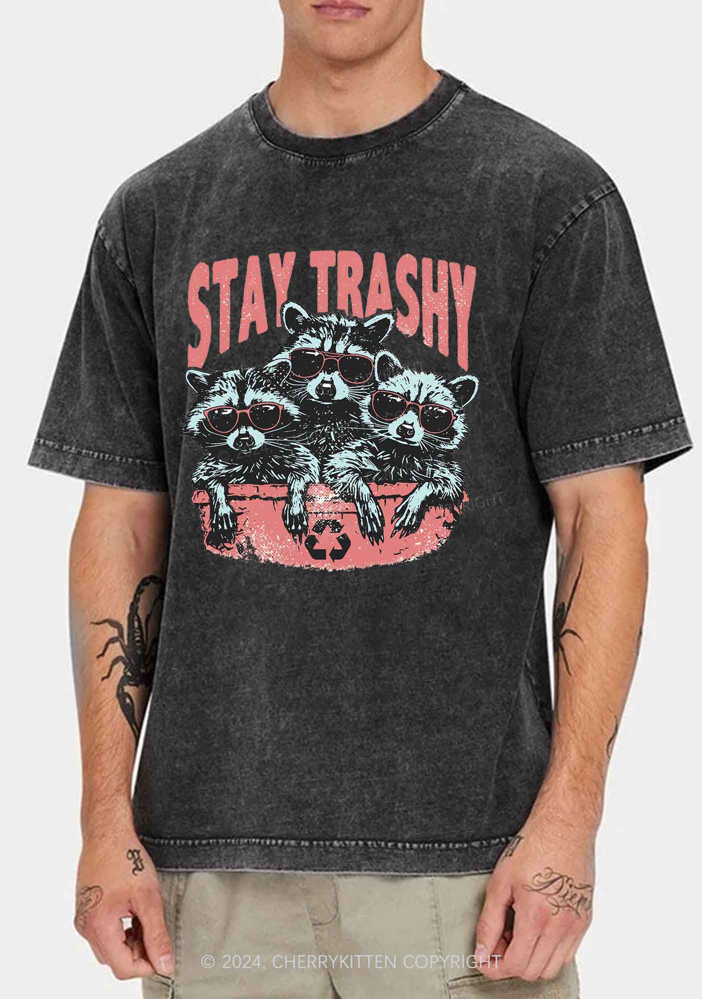 Stay Trashy Raccoons Y2K Washed Tee Cherrykitten
