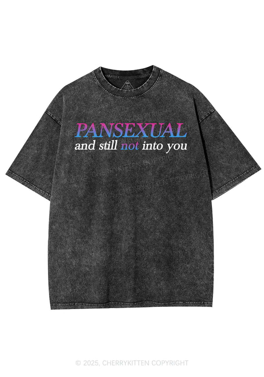 Pansexual Still Not Into You Pride Y2K Shirts Washed Tee Cherrykitten
