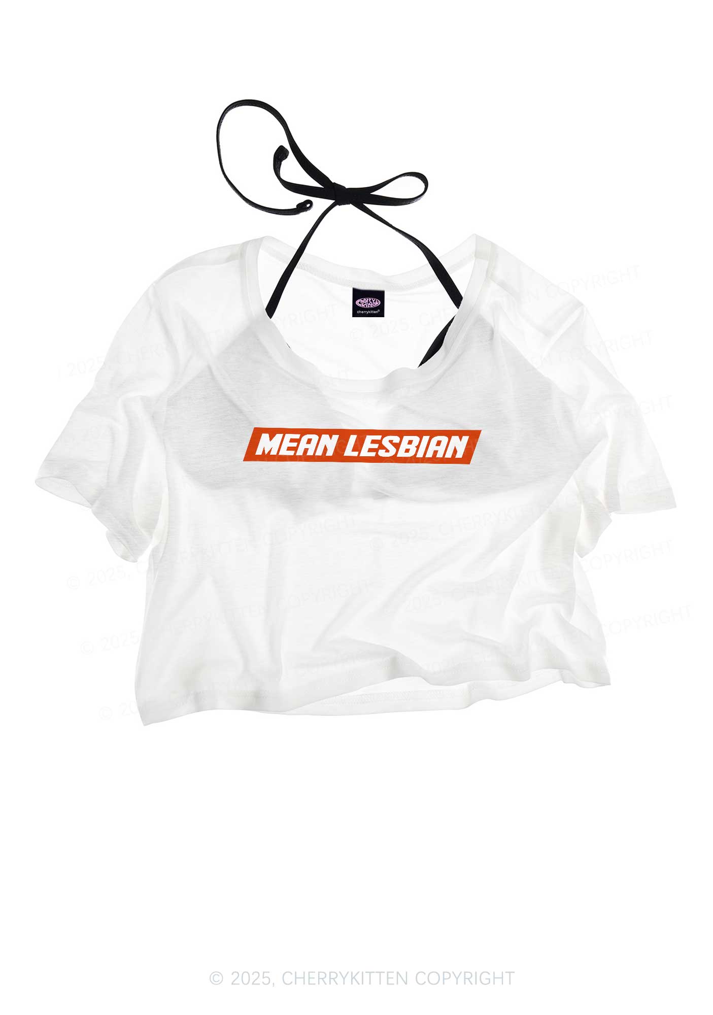 Mean Lesbian Pride Y2K Sheer Crop Tee Cherrykitten
