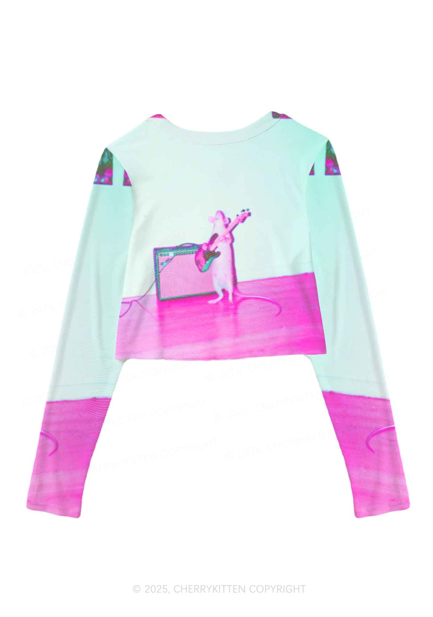 Rat Guitarist Y2K Mesh Long Sleeve Crop Top Cherrykitten