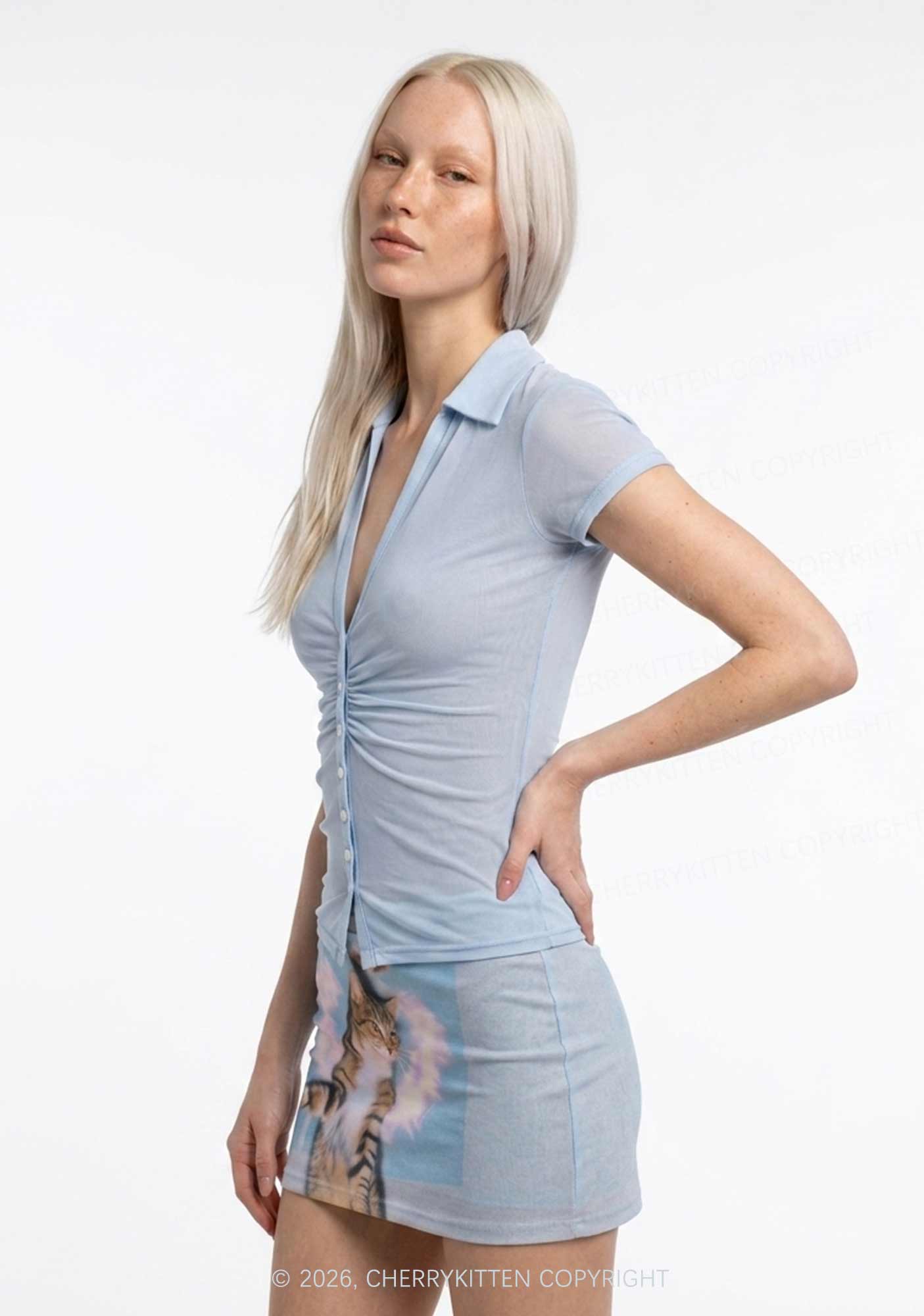 Blue Plain Y2K Mesh Ruched Waist V Neck Top Cherrykitten