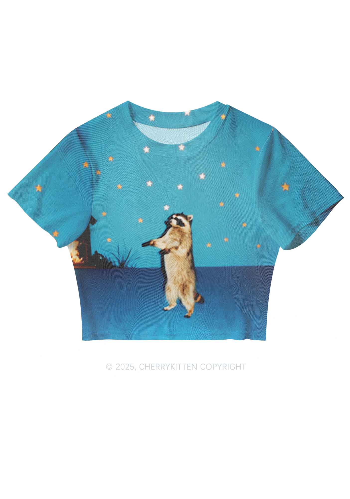 Starry Raccoon Y2K Mesh Crop Top Cherrykitten