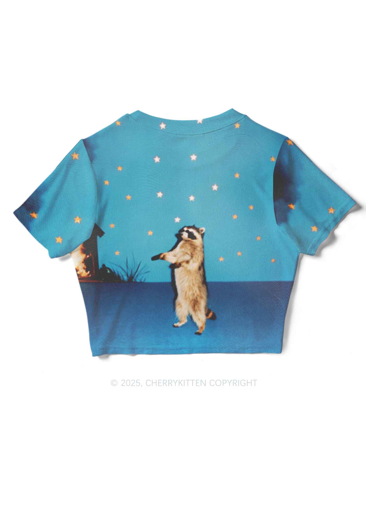 Starry Raccoon Y2K Mesh Crop Top Cherrykitten