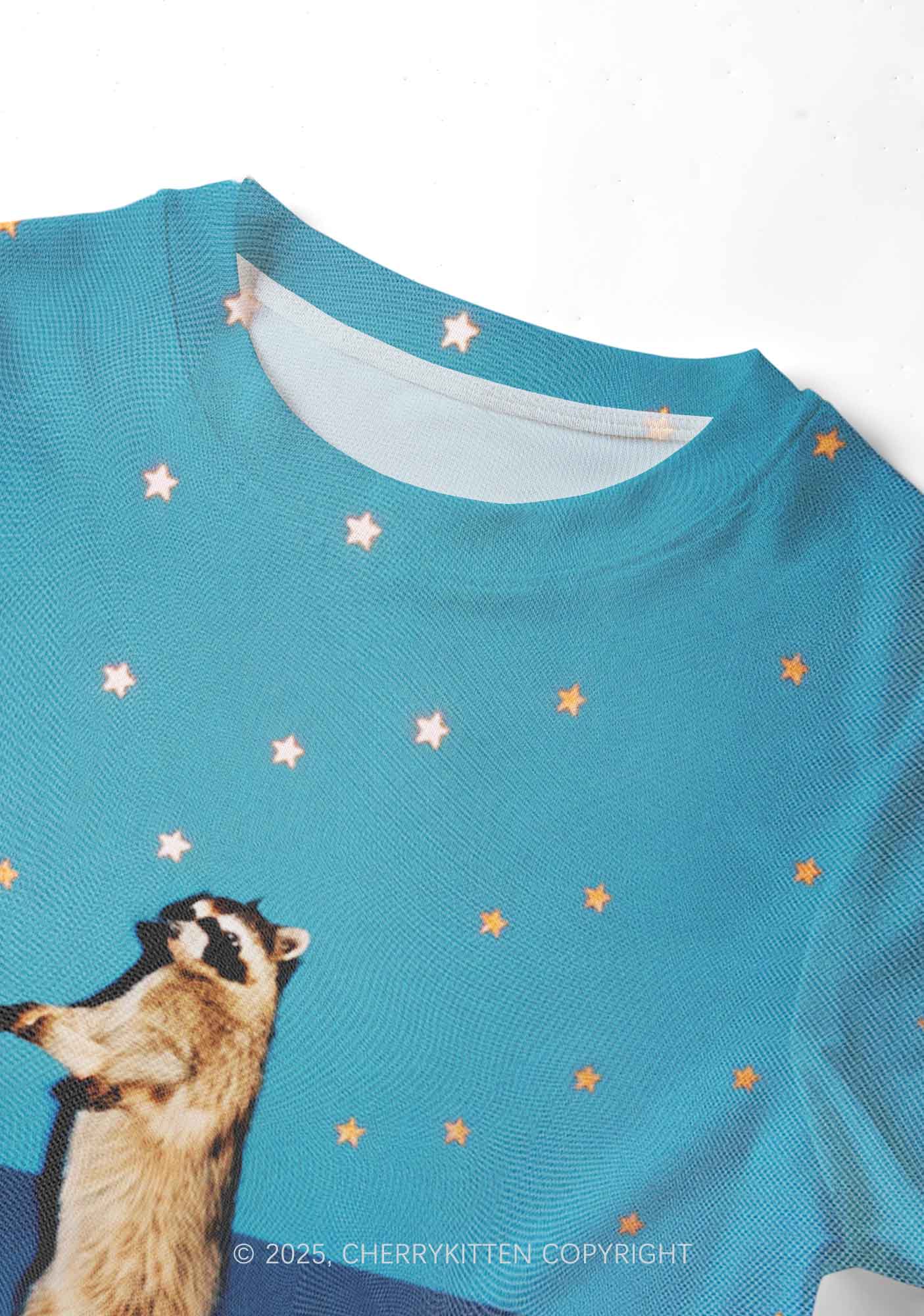 Starry Raccoon Y2K Mesh Crop Top Cherrykitten