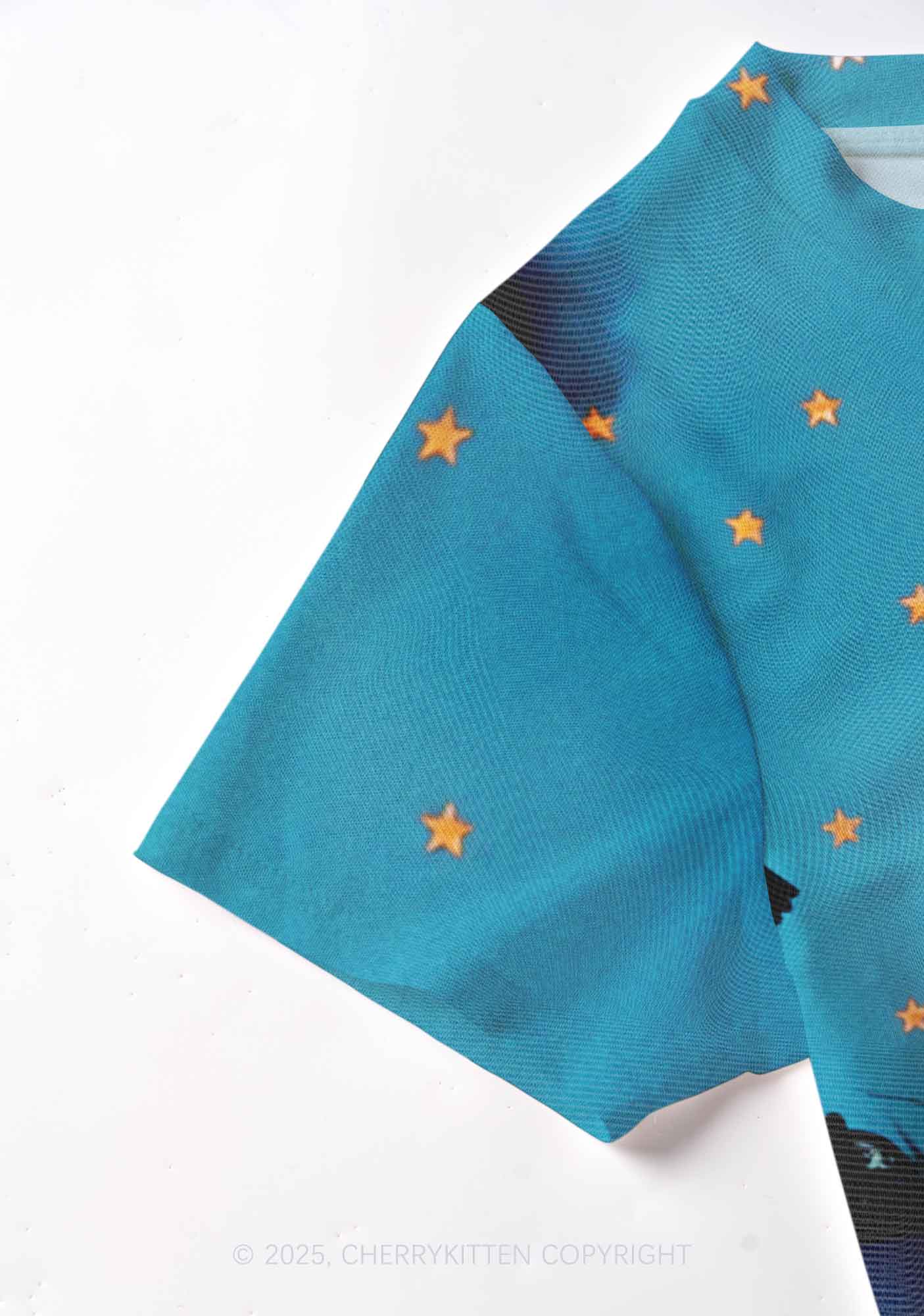 Starry Raccoon Y2K Mesh Crop Top Cherrykitten