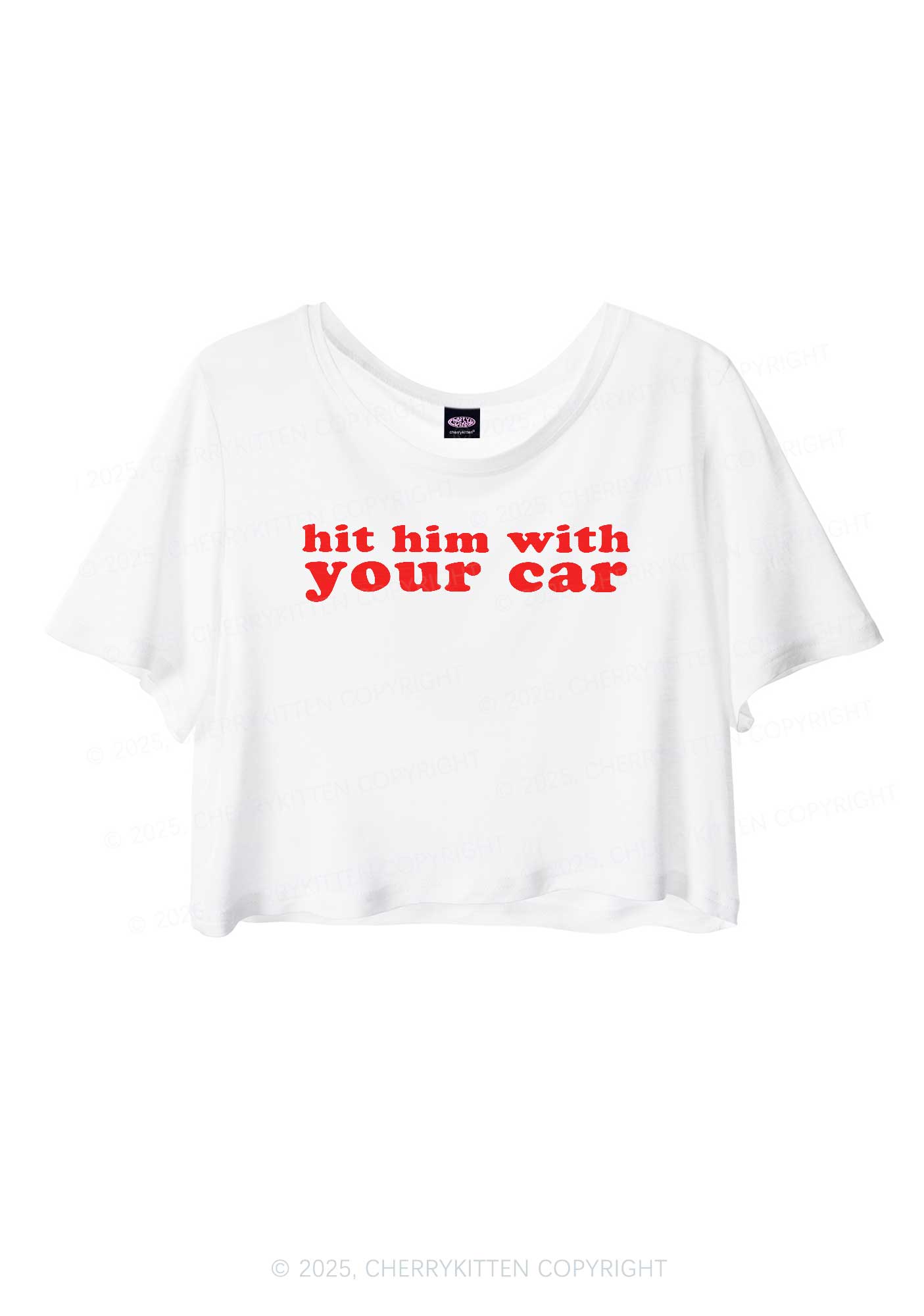 Hit Him Y2K Sheer Crop Tee Cherrykitten