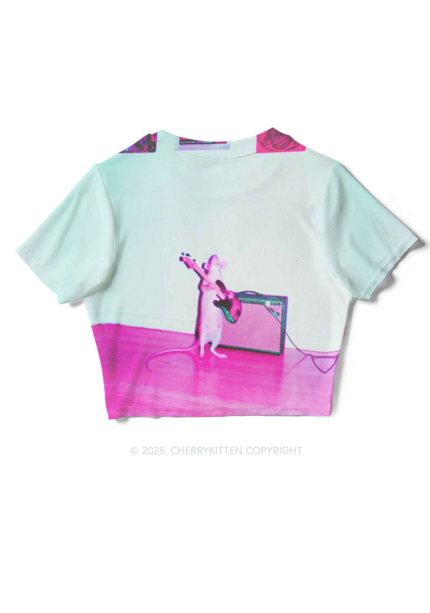 Rat Guitarist Y2K Mesh Crop Top Cherrykitten