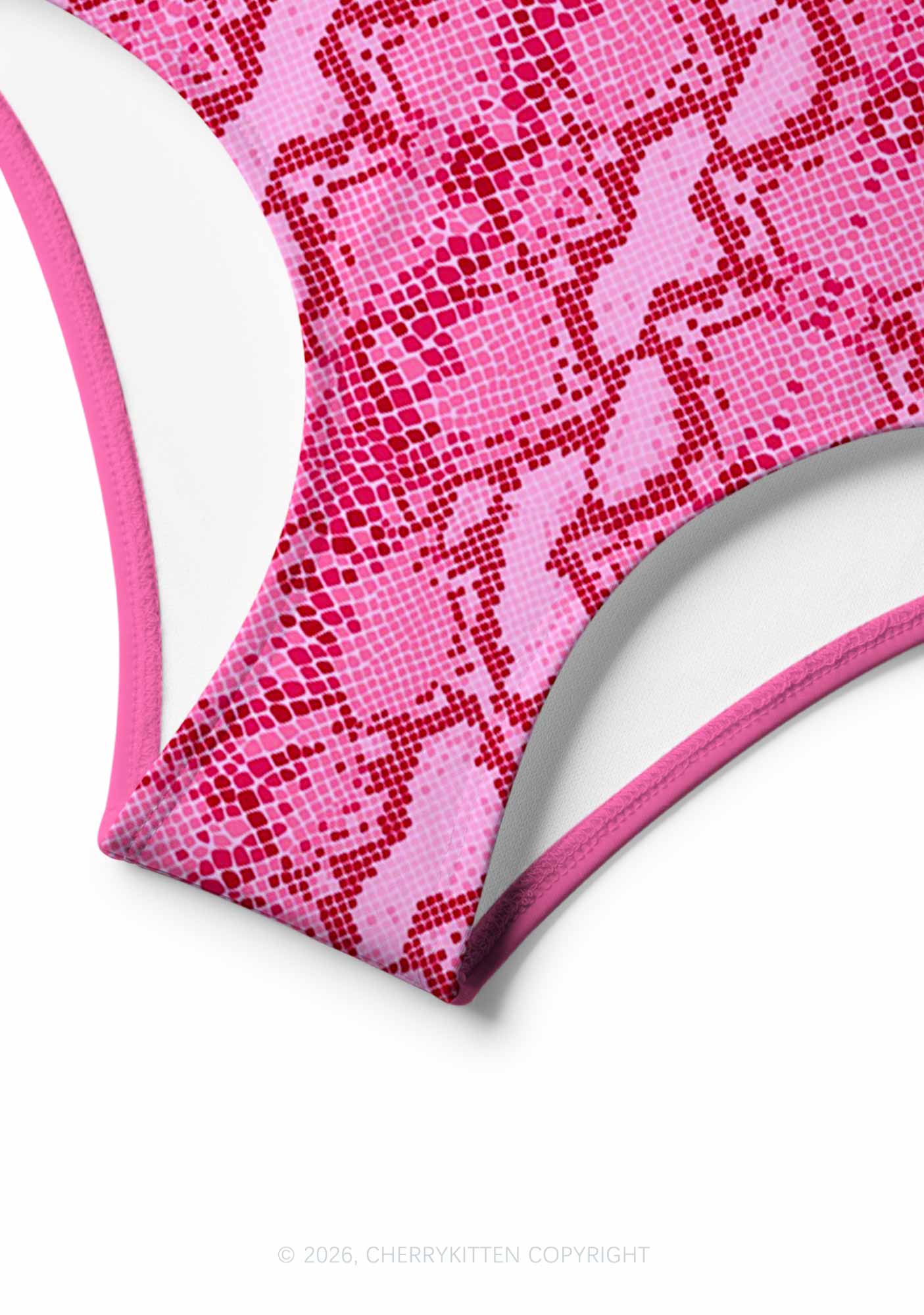 Hot Pink Snake Skin Pattern Y2K Print Bikini Set Cherrykitten