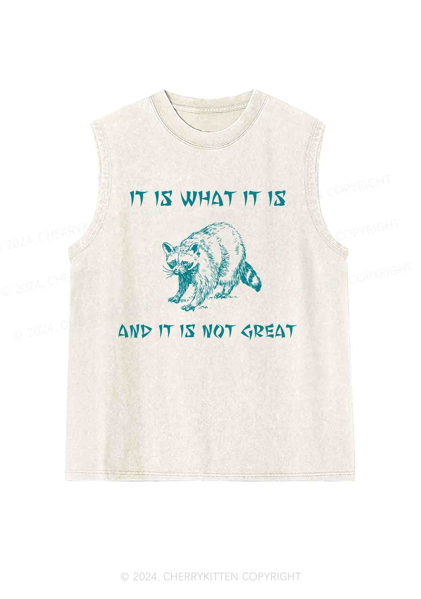 It Is What It Is And It Is Not Great Y2K Washed Tank Cherrykitten