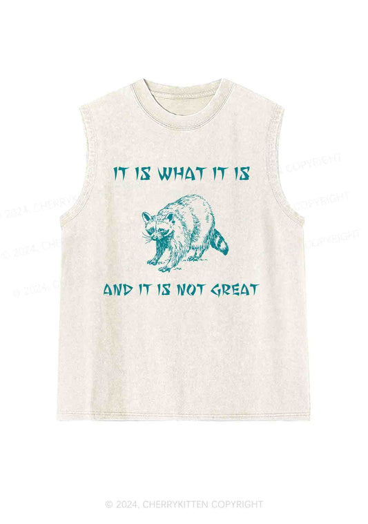 It Is What It Is And It Is Not Great Y2K Washed Tank Cherrykitten
