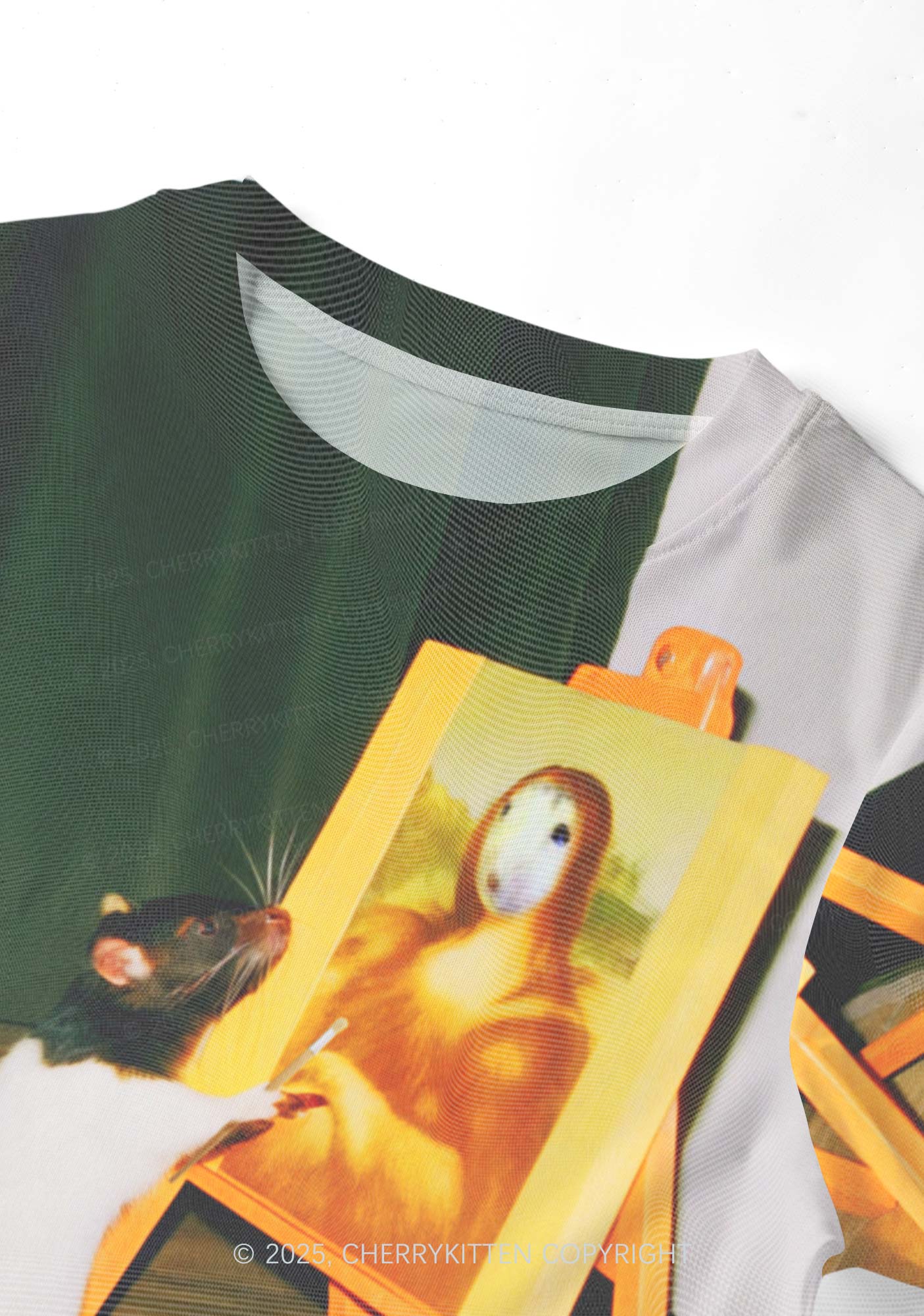 Painting Ratz Y2K Mesh Crop Top Cherrykitten