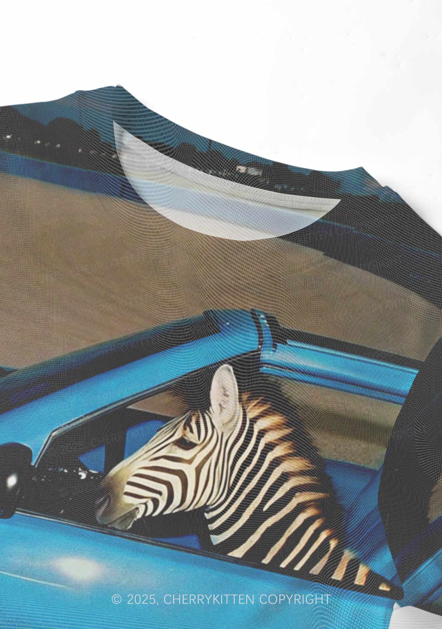 Zebra Driver Y2K Mesh Crop Top Cherrykitten