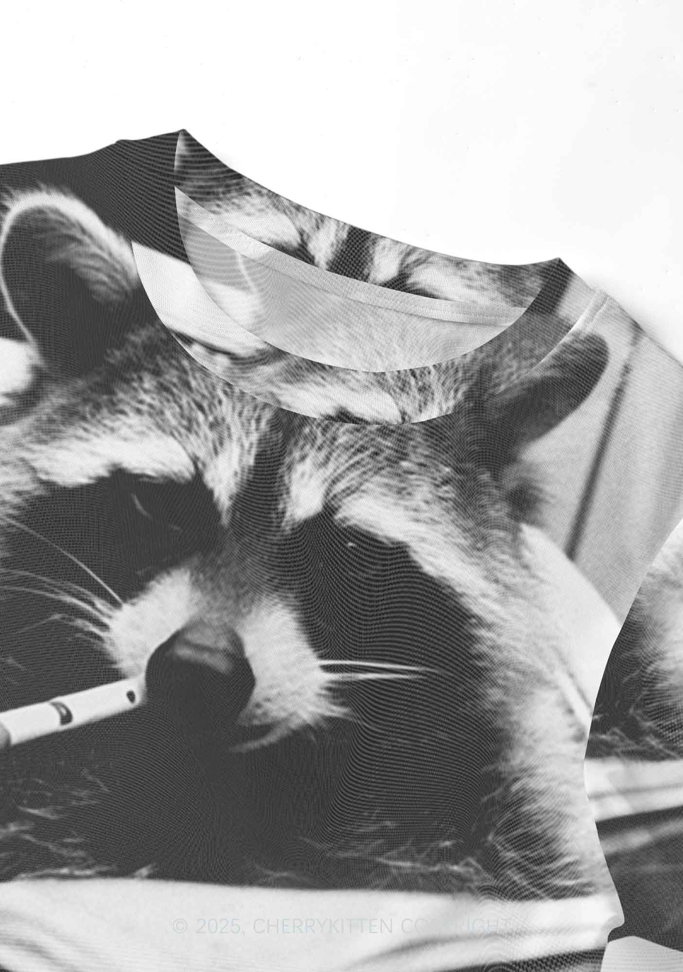 Cool Raccoon Y2K Mesh Crop Top Cherrykitten