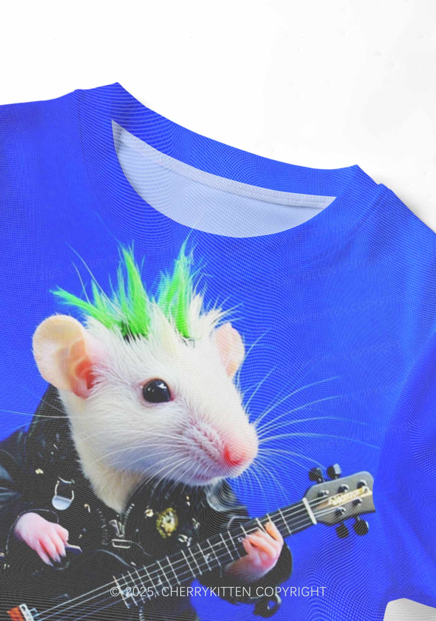 Guitar Playing Ratz Y2K Mesh Crop Top Cherrykitten