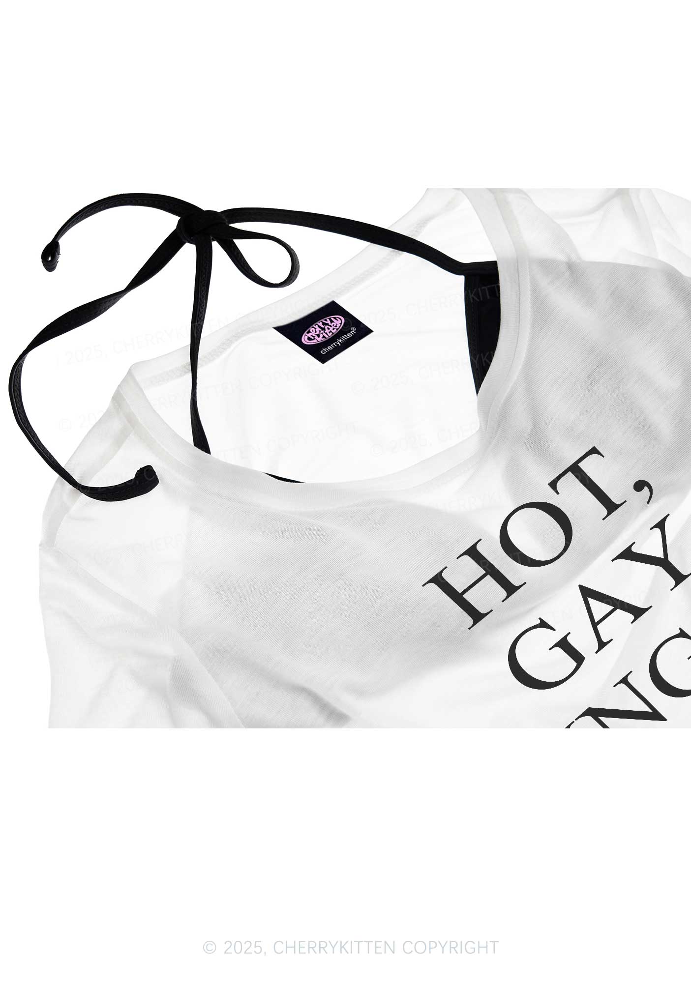 Hot Gay Single Pride Y2K Sheer Crop Tee Cherrykitten