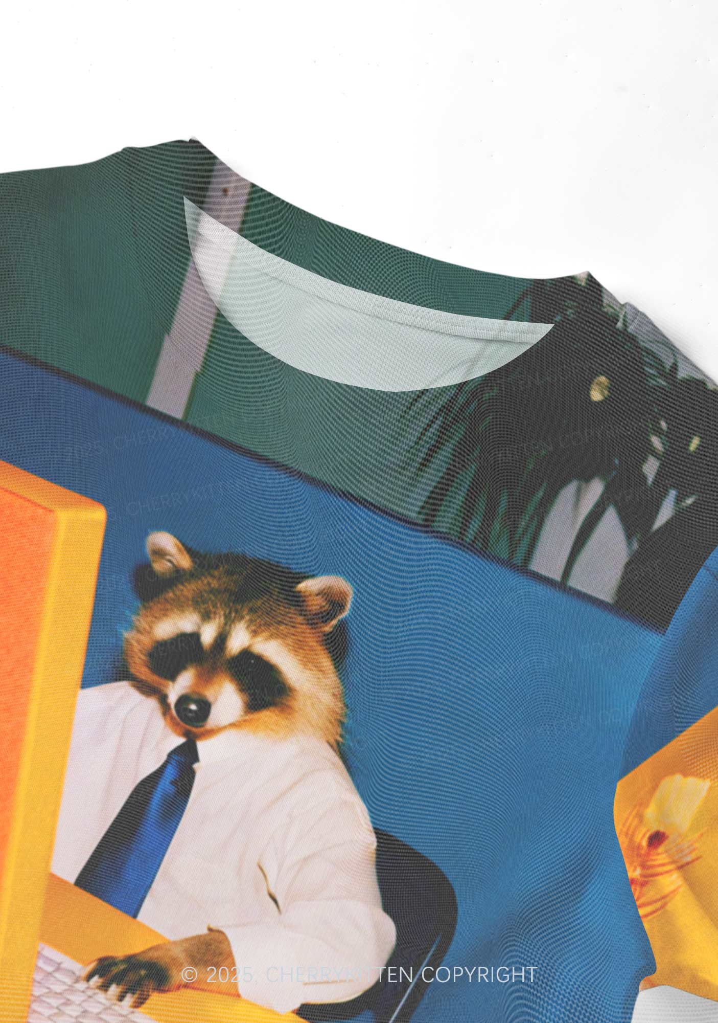 Office Raccoon Y2K Mesh Crop Top Cherrykitten