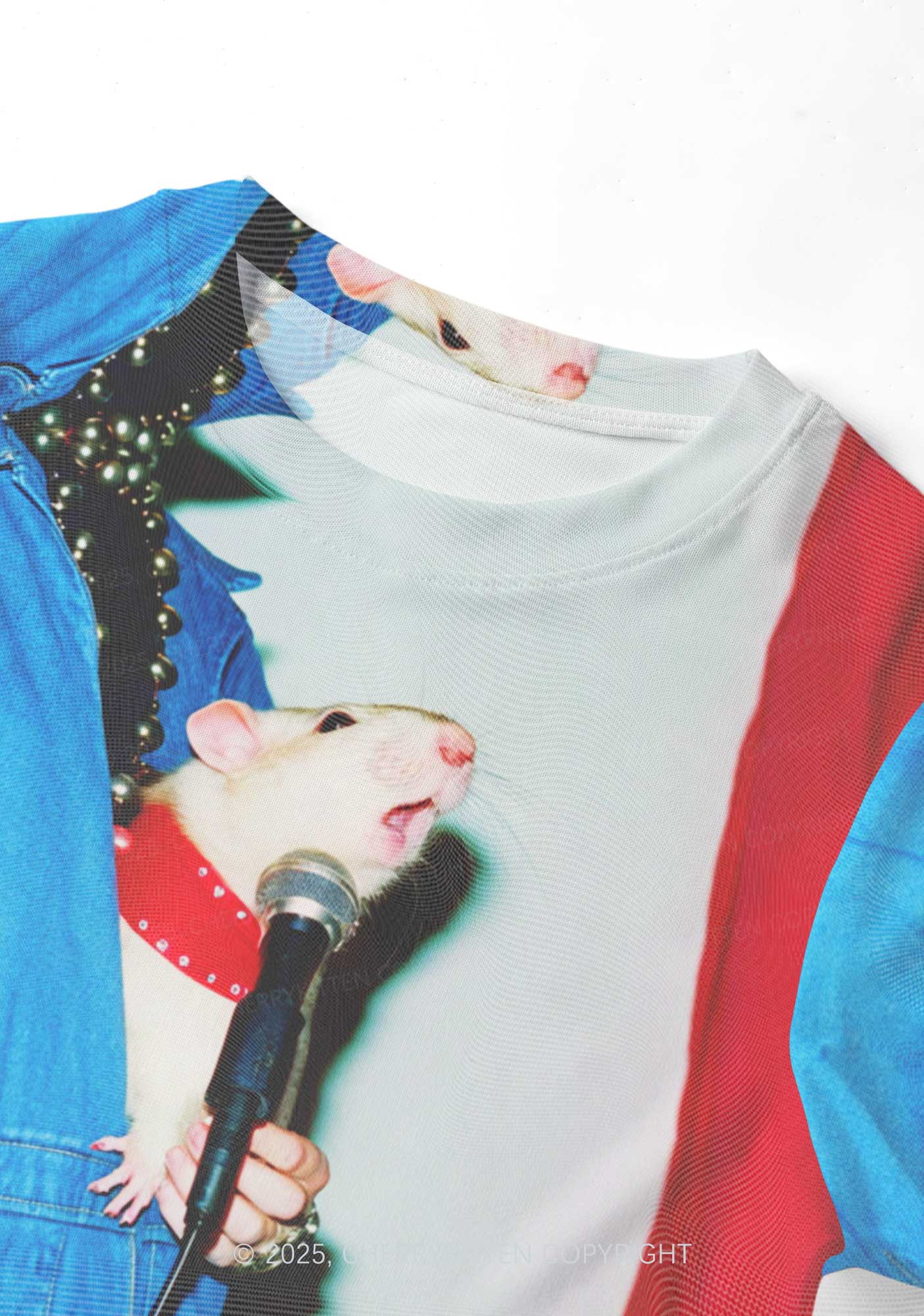 Singer Ratz Y2K Mesh Crop Top Cherrykitten