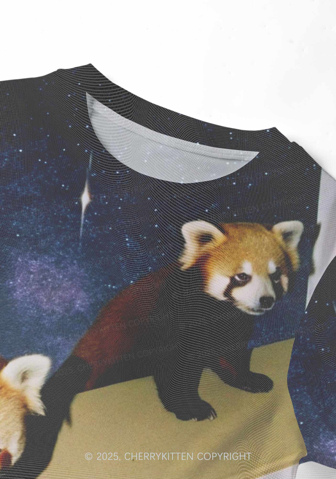 Raccoon Friends Y2K Mesh Crop Top Cherrykitten