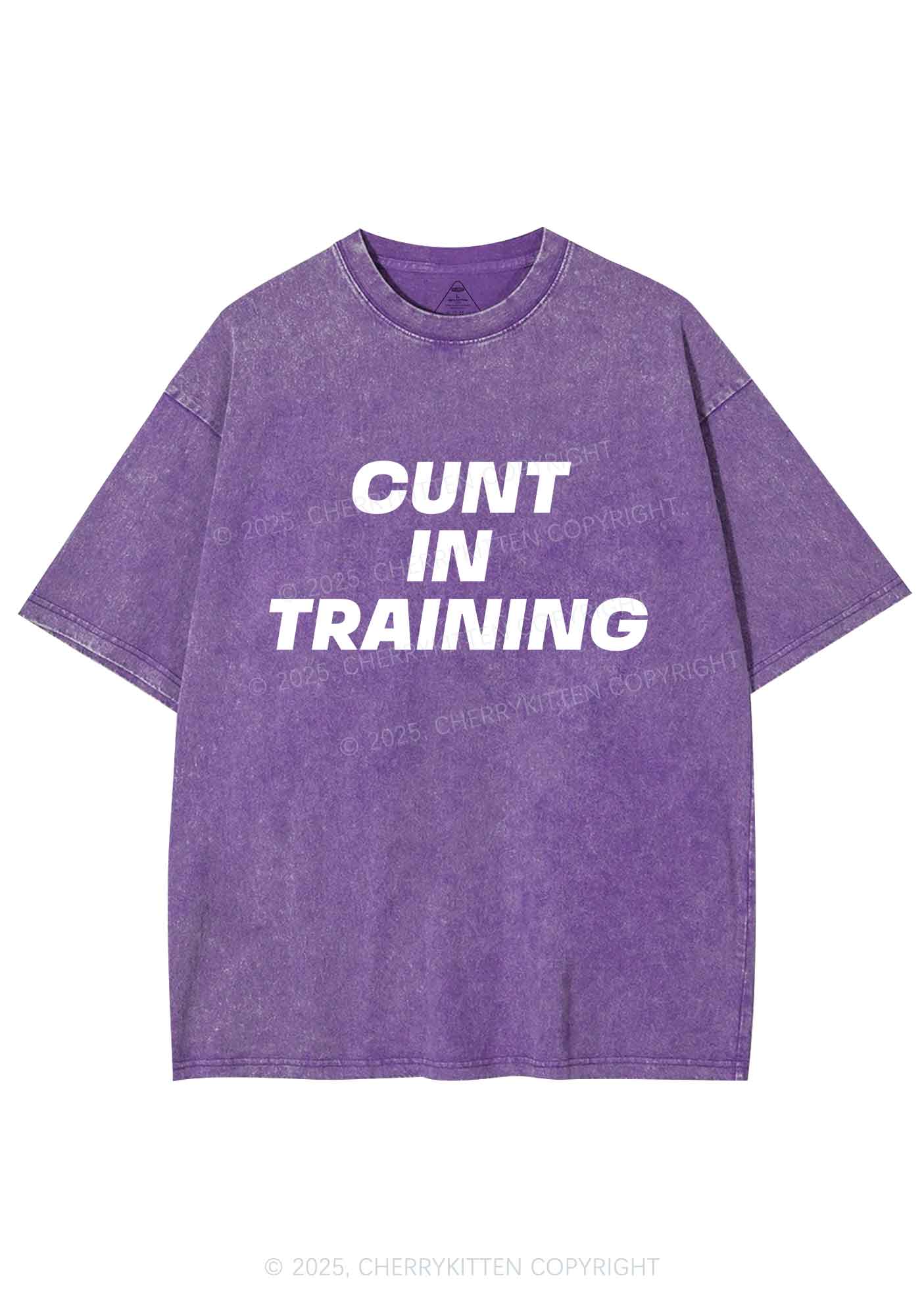 Cxxt In Training Y2K Shirts Washed Tee Cherrykitten