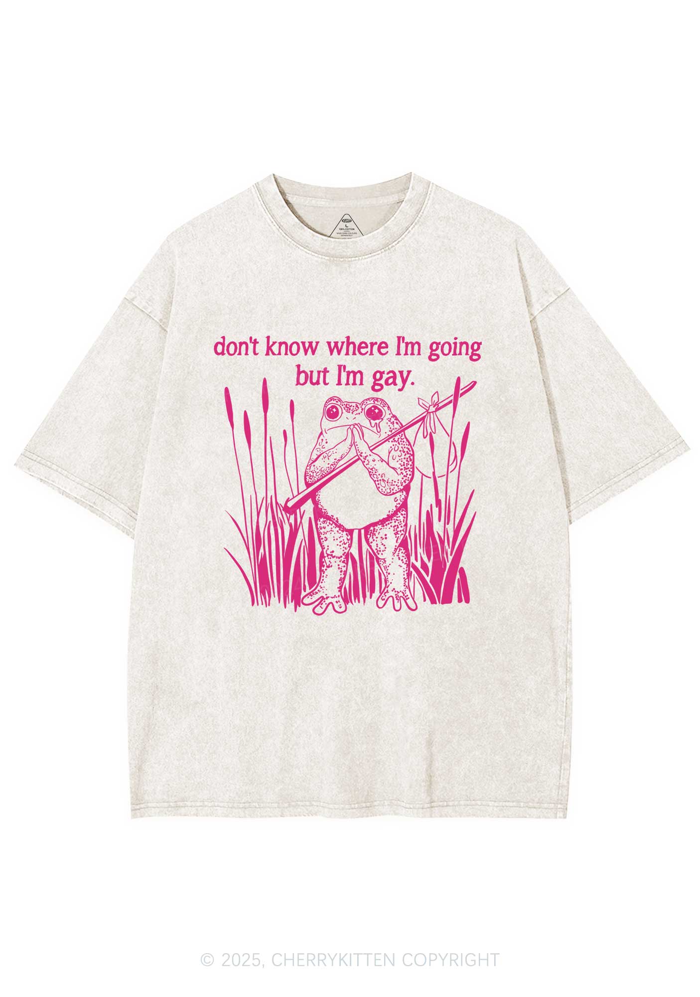 But I Am Gay Frog Pride Y2K Washed Tee Cherrykitten