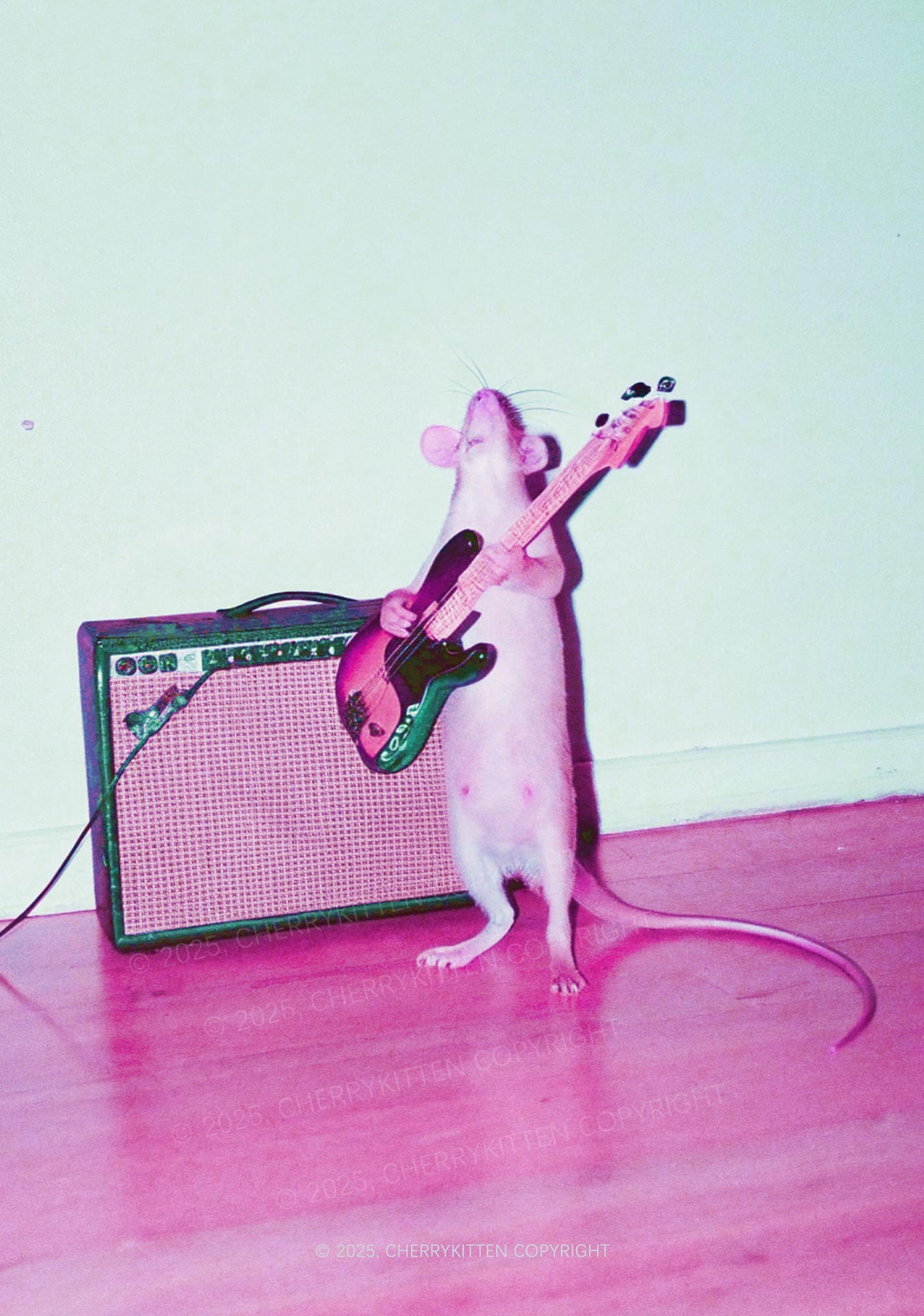 Rat Guitarist Y2K Print Midi Skirt Cherrykitten