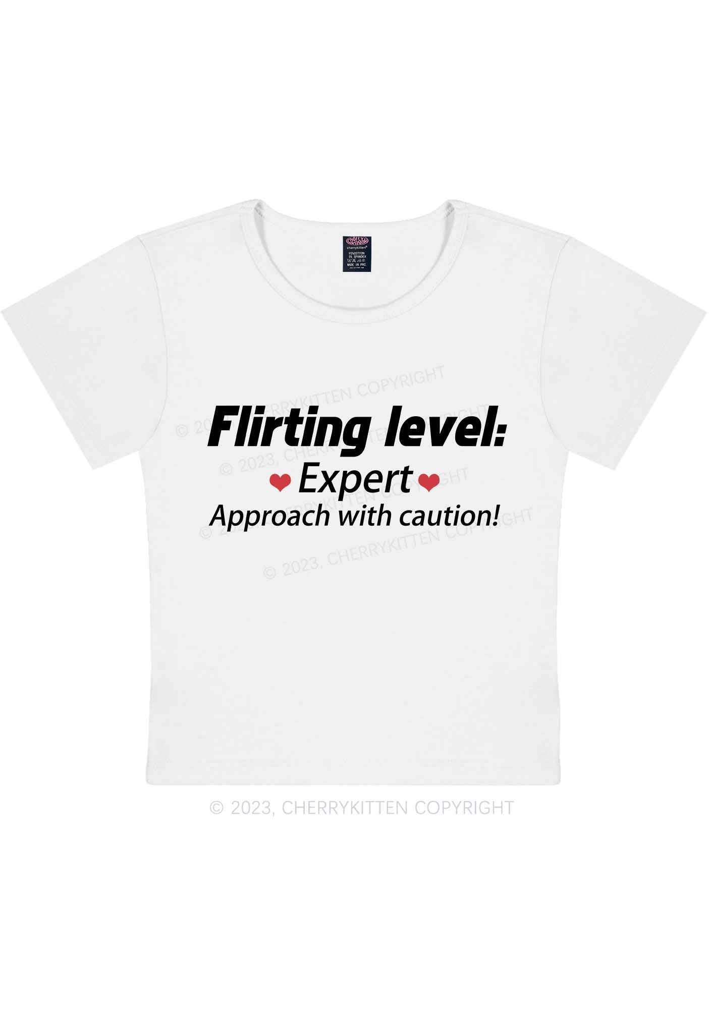 Curvy Flirting Expert Y2K Baby Tee Cherrykitten