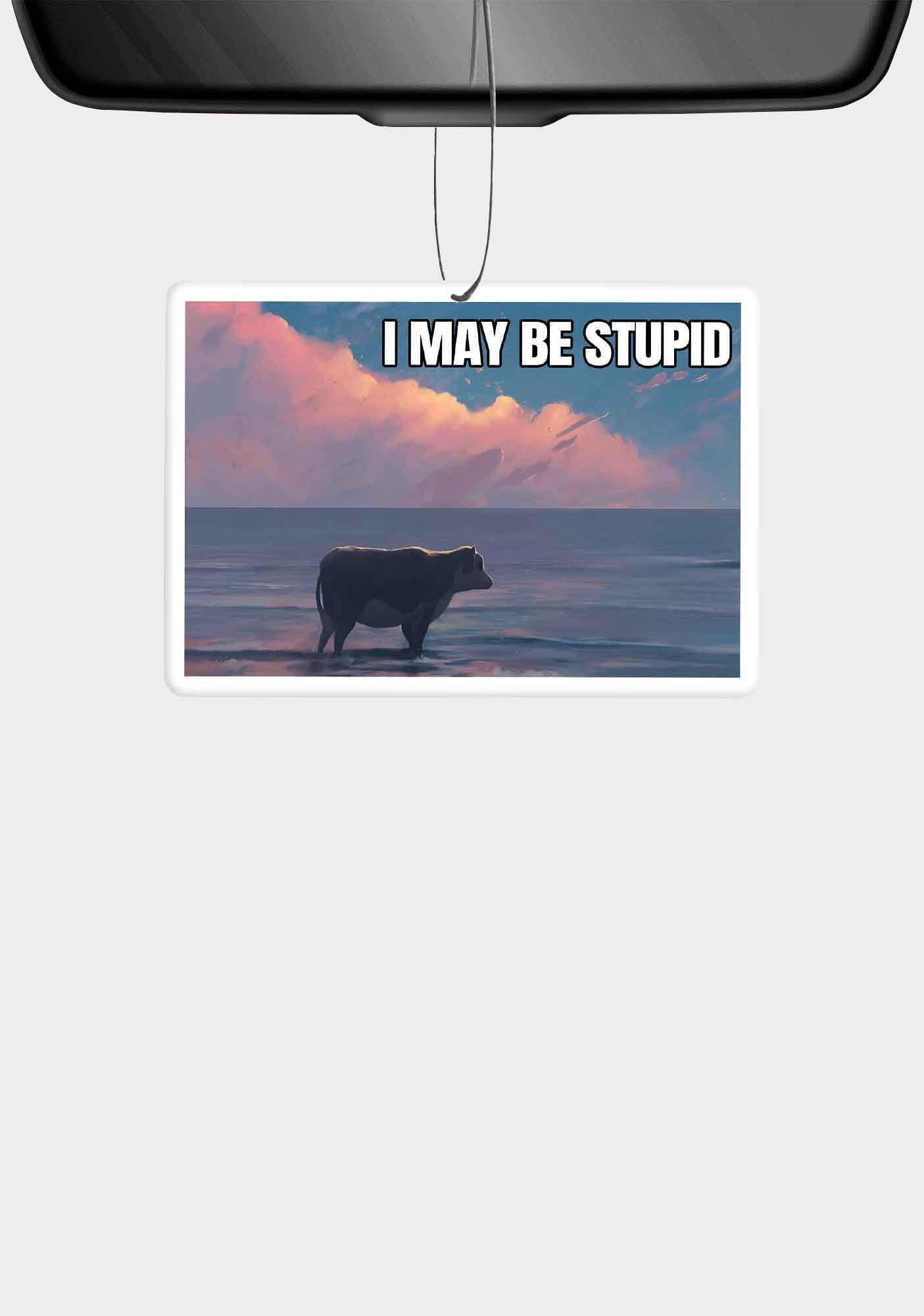 I May Be Stupid Meme 1Pc Y2K Car Air Freshener Cherrykitten