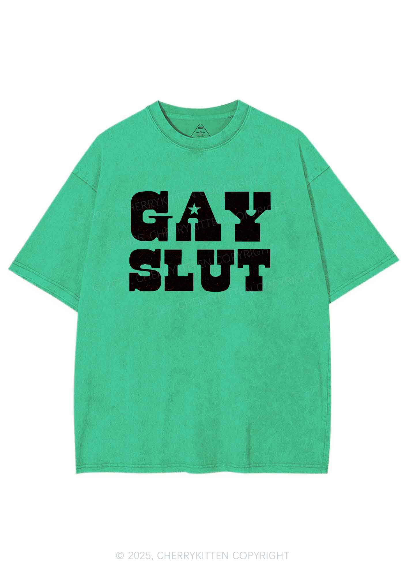 Gay Slxt Pride Y2K Shirts Washed Tee Cherrykitten