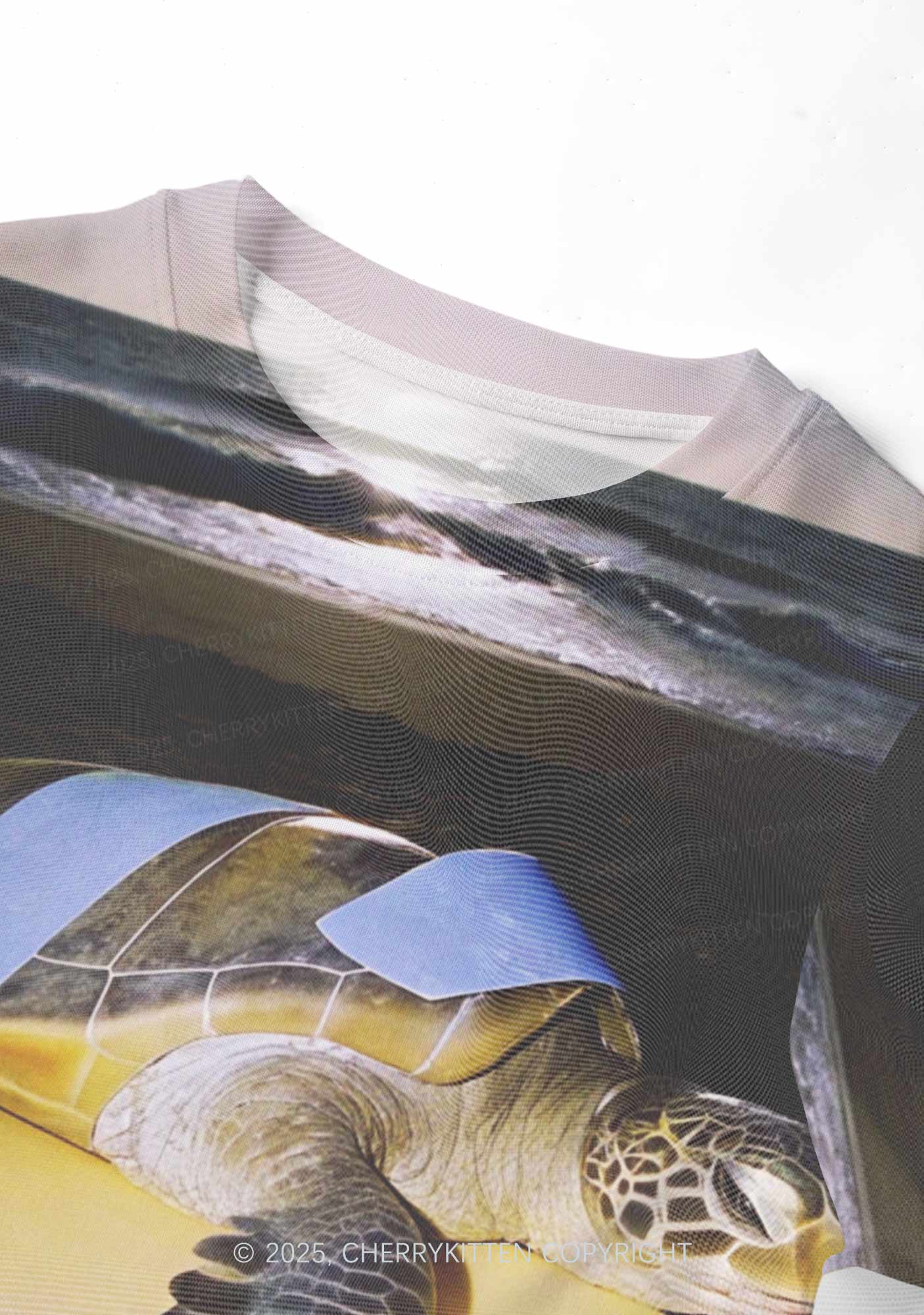 Turtle On Surfboard Y2K Mesh Crop Top Cherrykitten
