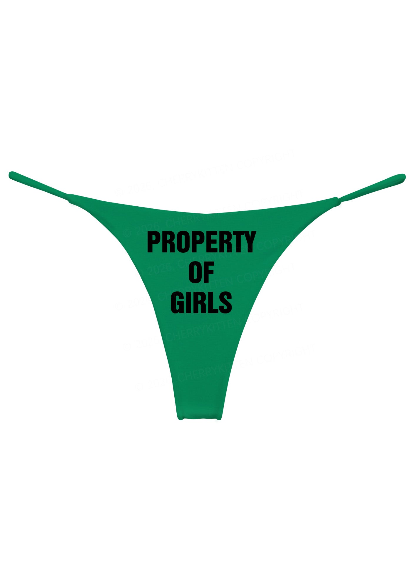 Property Of Girls Pride Y2K Bikini String Thong Cherrykitten