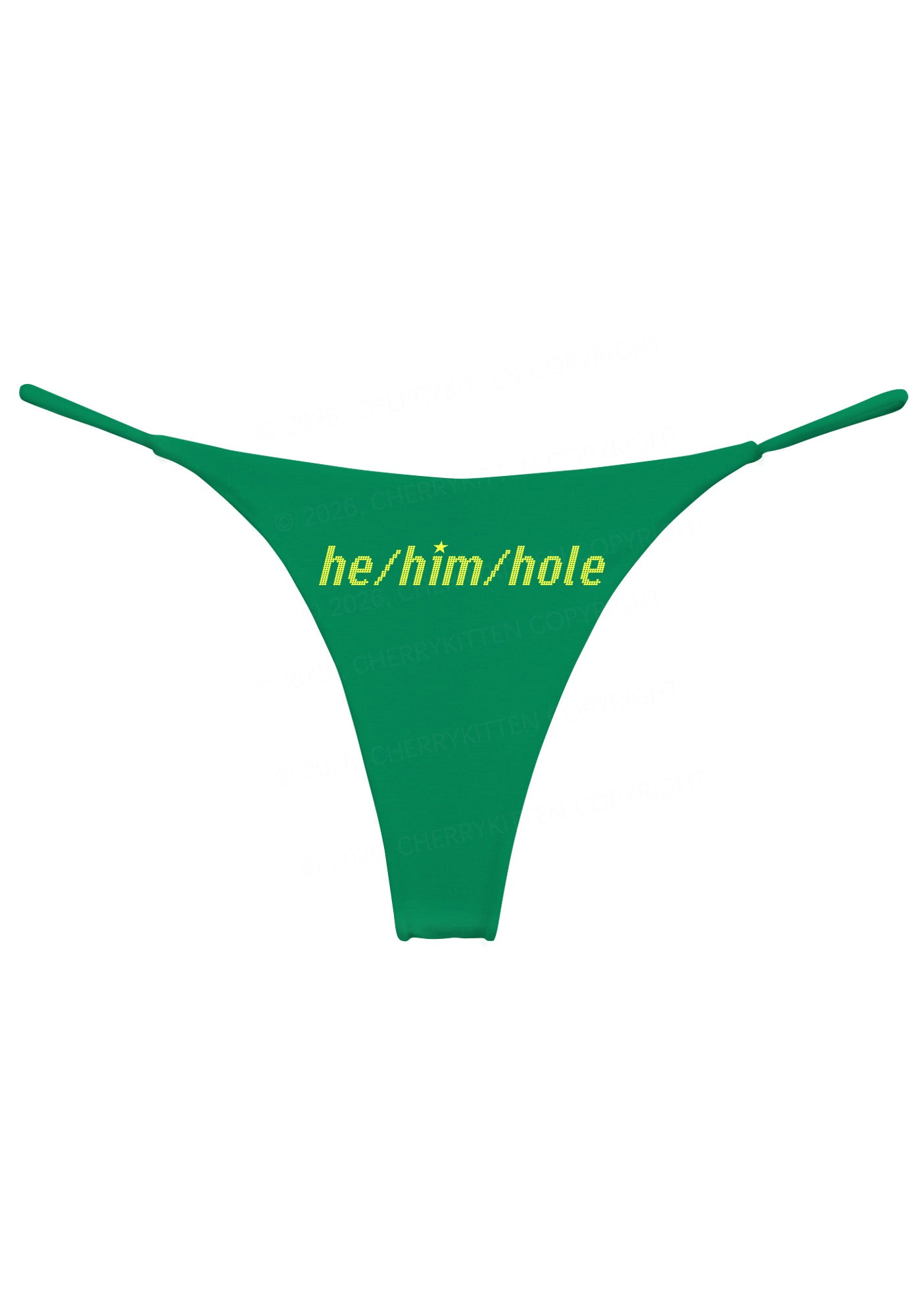 He Him Hole Pride Y2K Bikini String Thong Cherrykitten