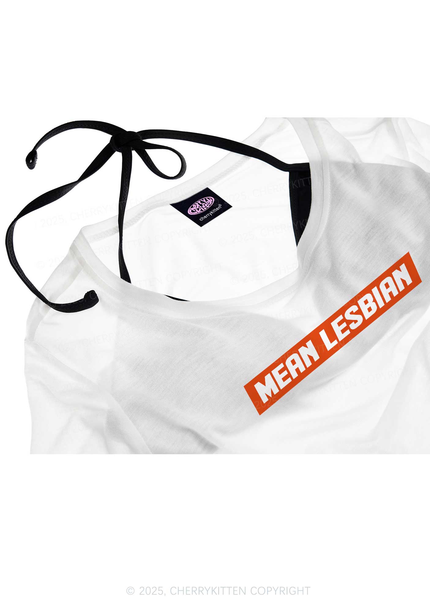 Mean Lesbian Pride Y2K Sheer Crop Tee Cherrykitten
