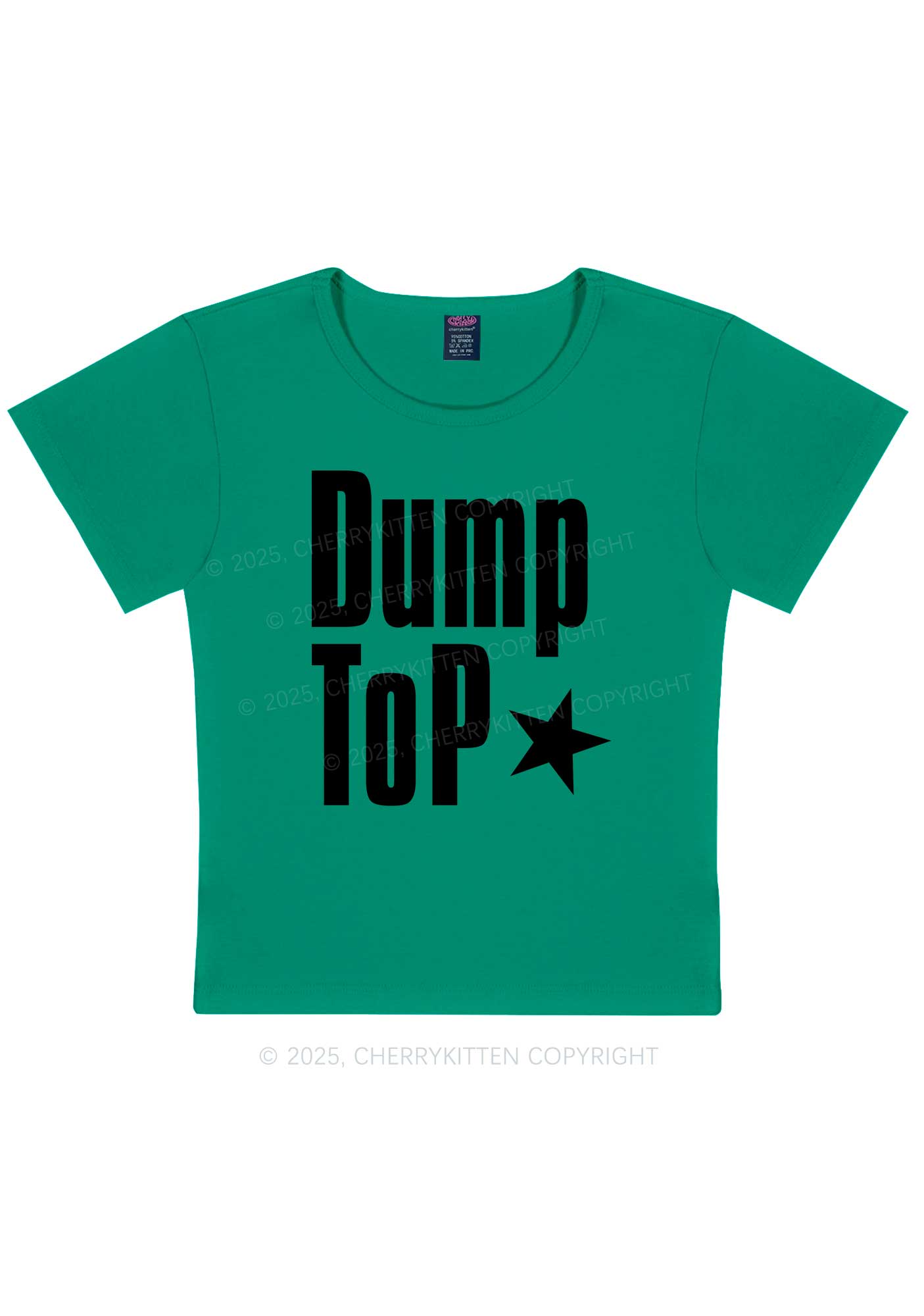 Dump Top Pride Y2K Baby Tee Cherrykitten