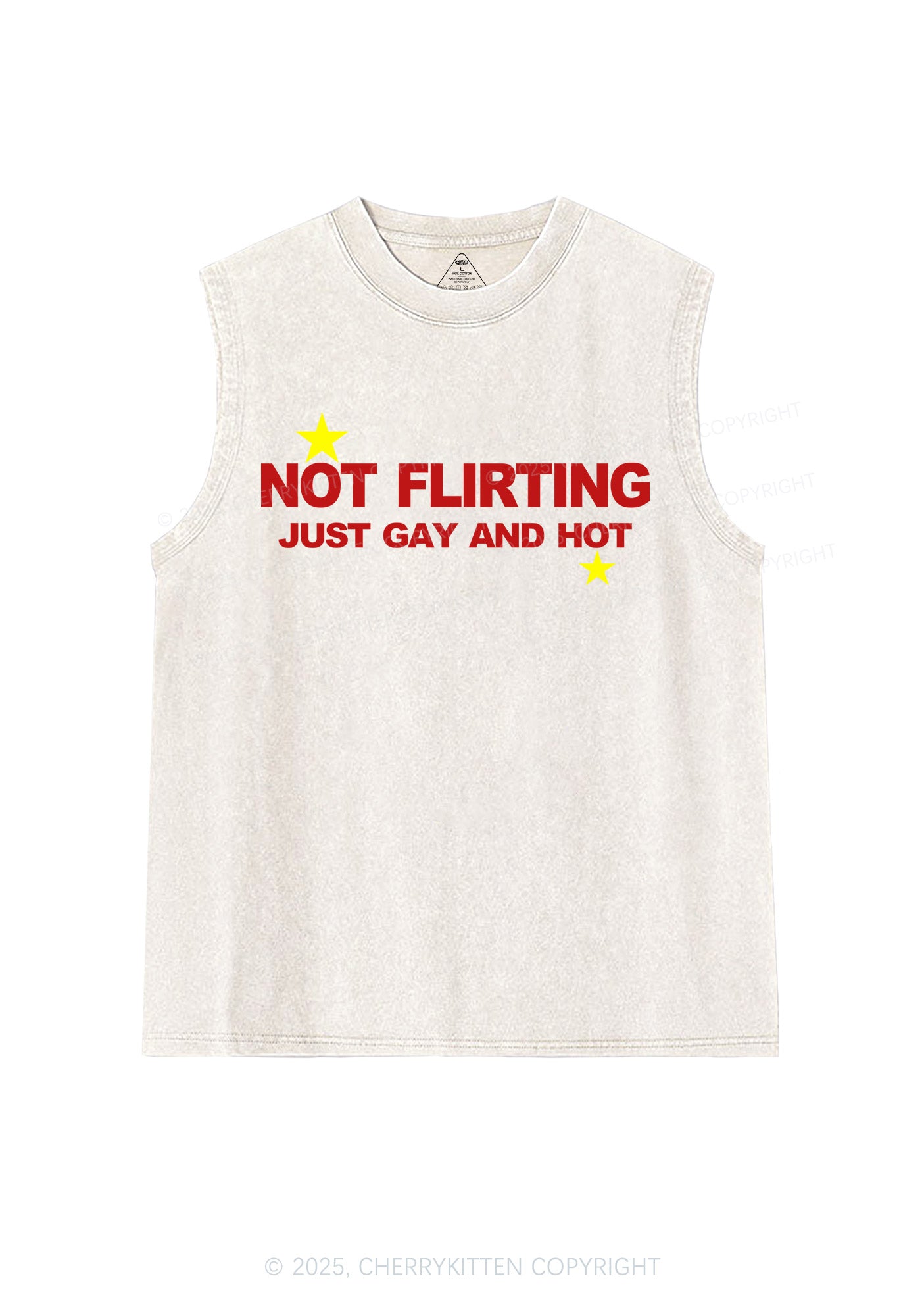 Not Flirting Pride Y2K Washed Muscle Tank Cherrykitten