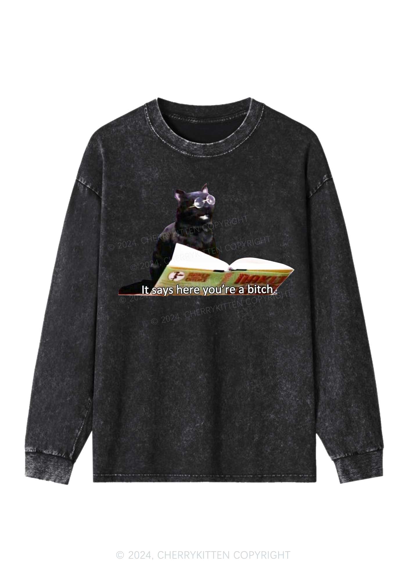 It Says Here You're A Bixxh Y2K Washed Long Sleeves Cherrykitten