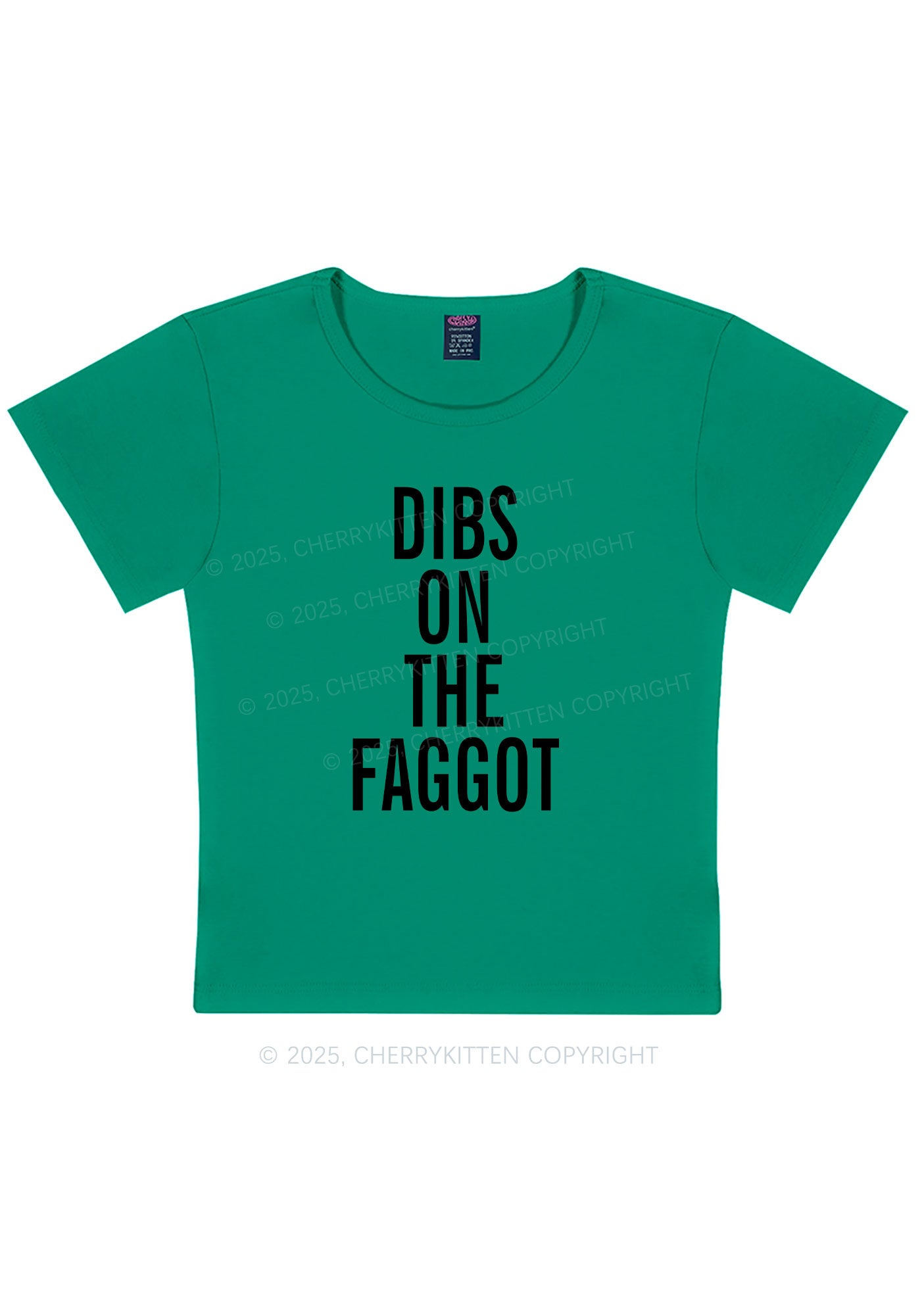 Dibs On The Faggot Pride Y2K Baby Tee Cherrykitten