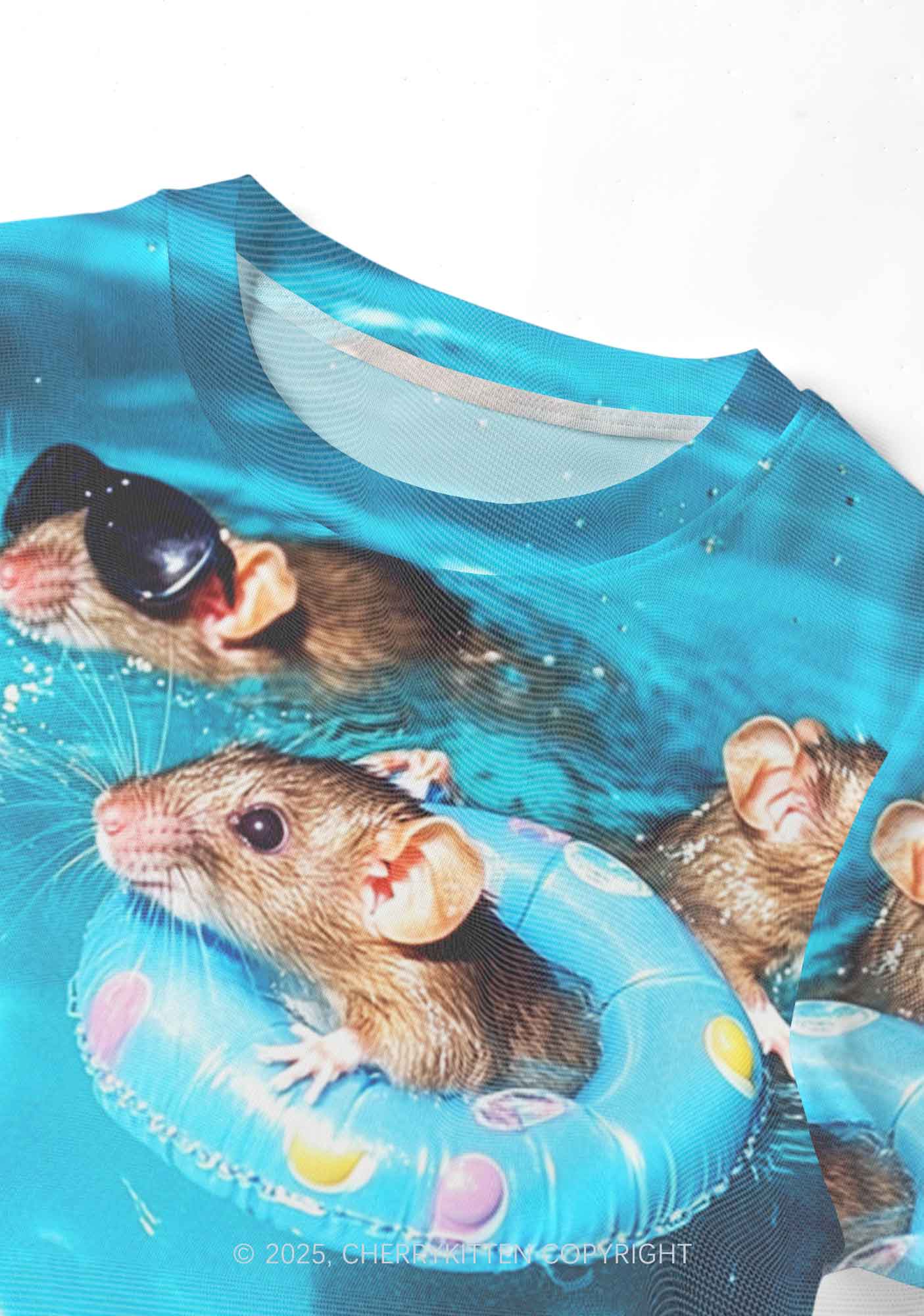 Pool Rats Y2K Mesh Crop Top Cherrykitten