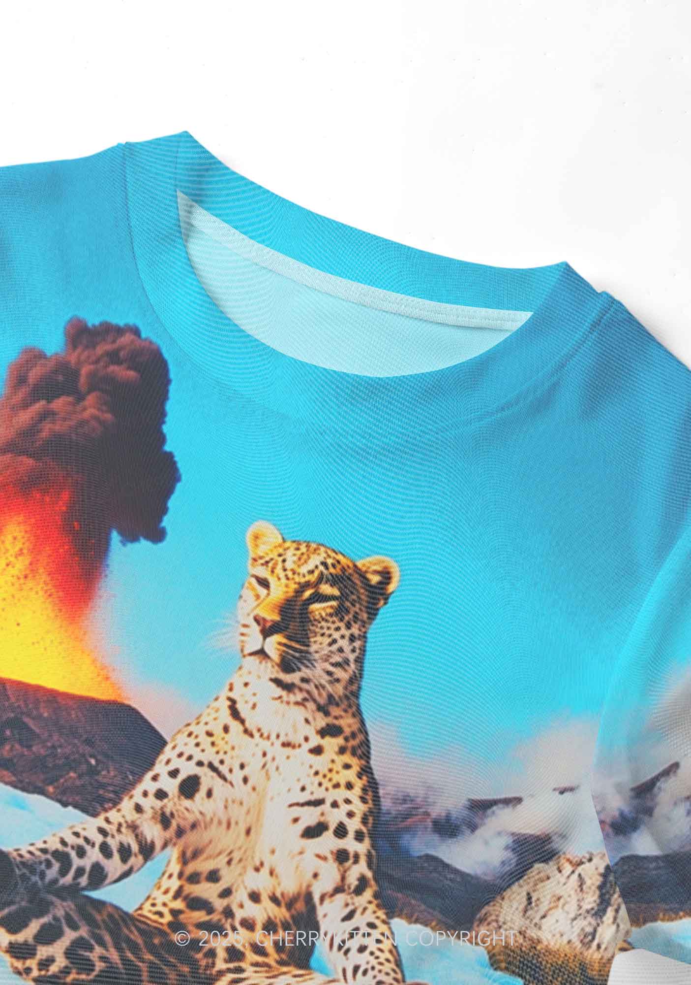 Yoga Leopard And Volcano Y2K Mesh Crop Top Cherrykitten