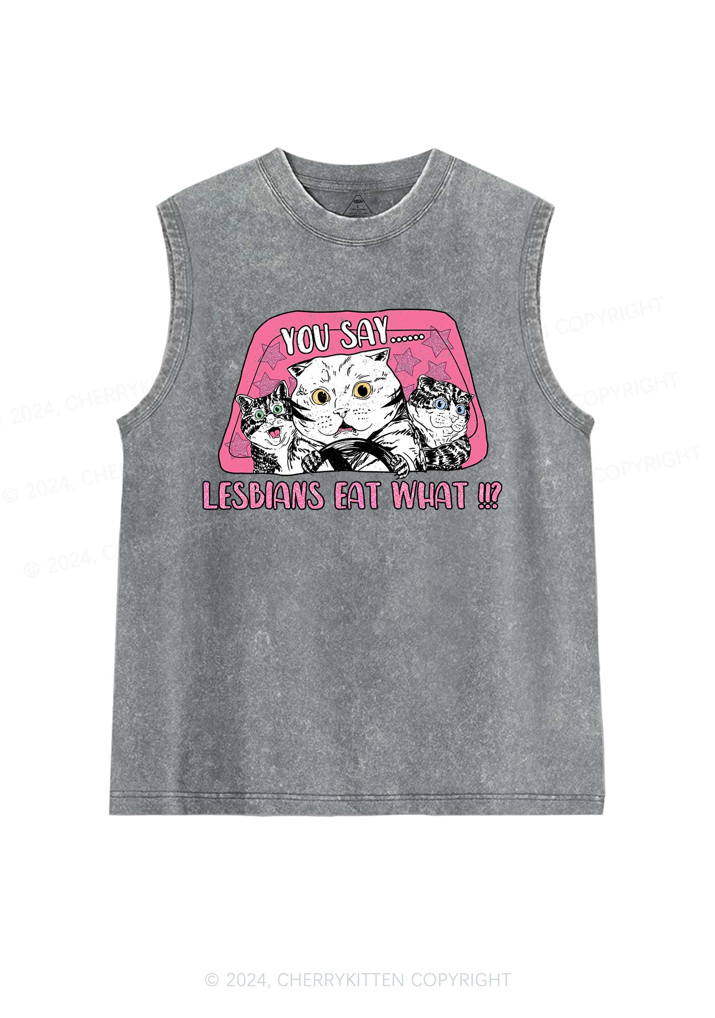 You Say Lesbians Eat Y2K Washed Tank Cherrykitten