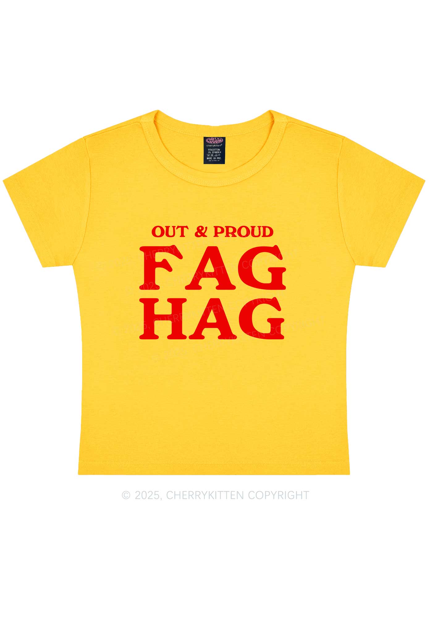 Fag Hag Pride Y2K Baby Tee Cherrykitten
