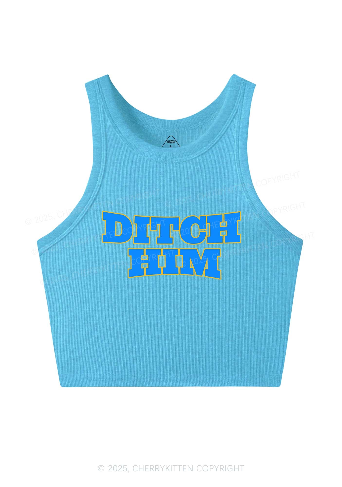 Ditch Him Pride Y2K Crop Tank Top Cherrykitten