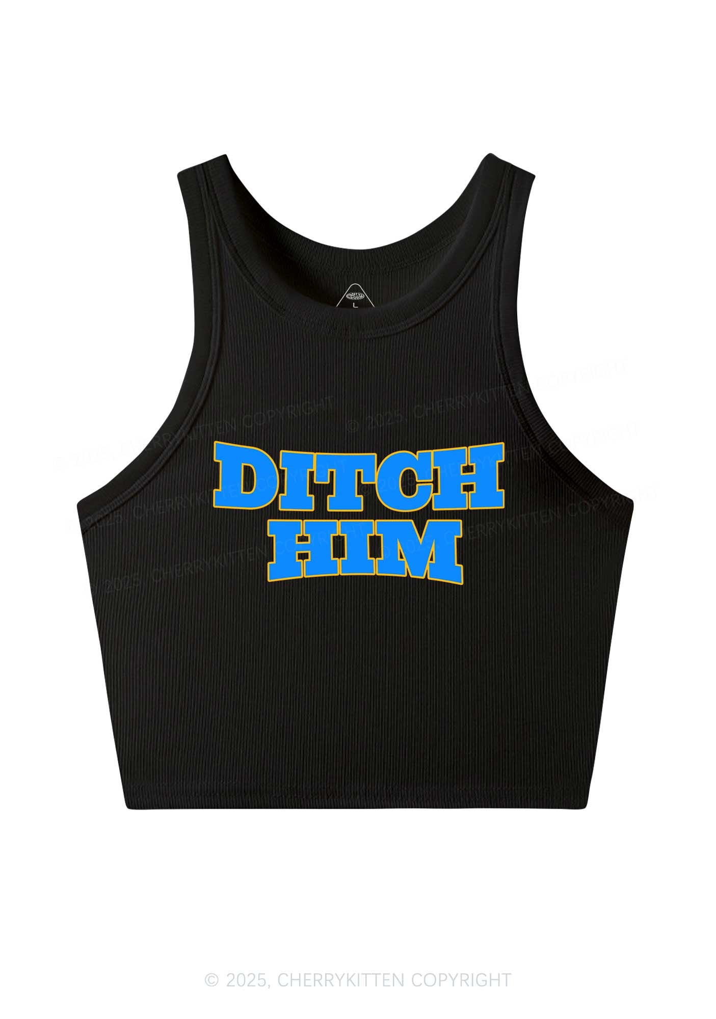 Ditch Him Pride Y2K Crop Tank Top Cherrykitten