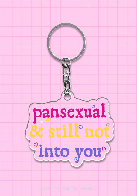Pansexual Still Not Into You Pride 1Pc Y2K Keychain Cherrykitten