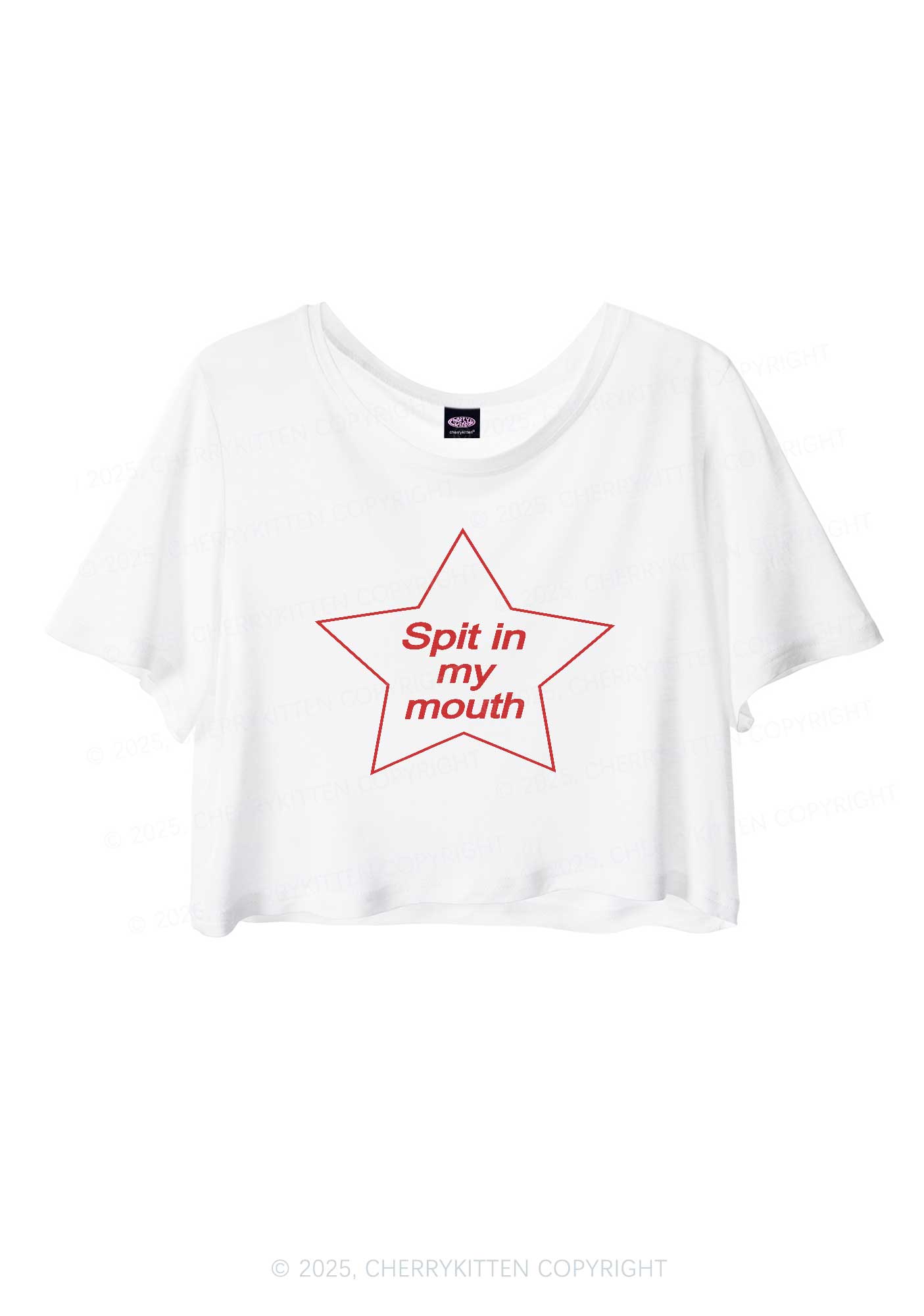 Spit In My Mouth Y2K Sheer Crop Tee Cherrykitten