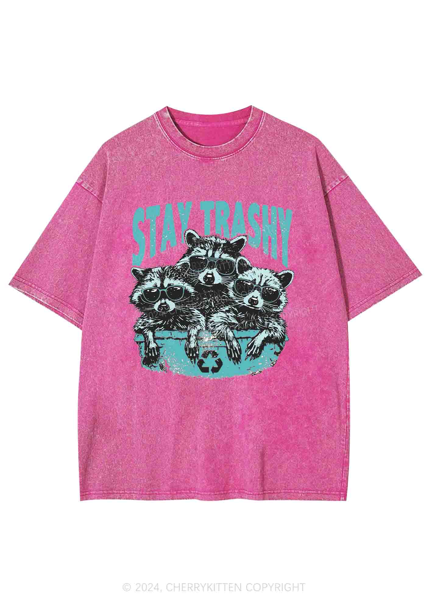 Stay Trashy Raccoons Y2K Washed Tee Cherrykitten