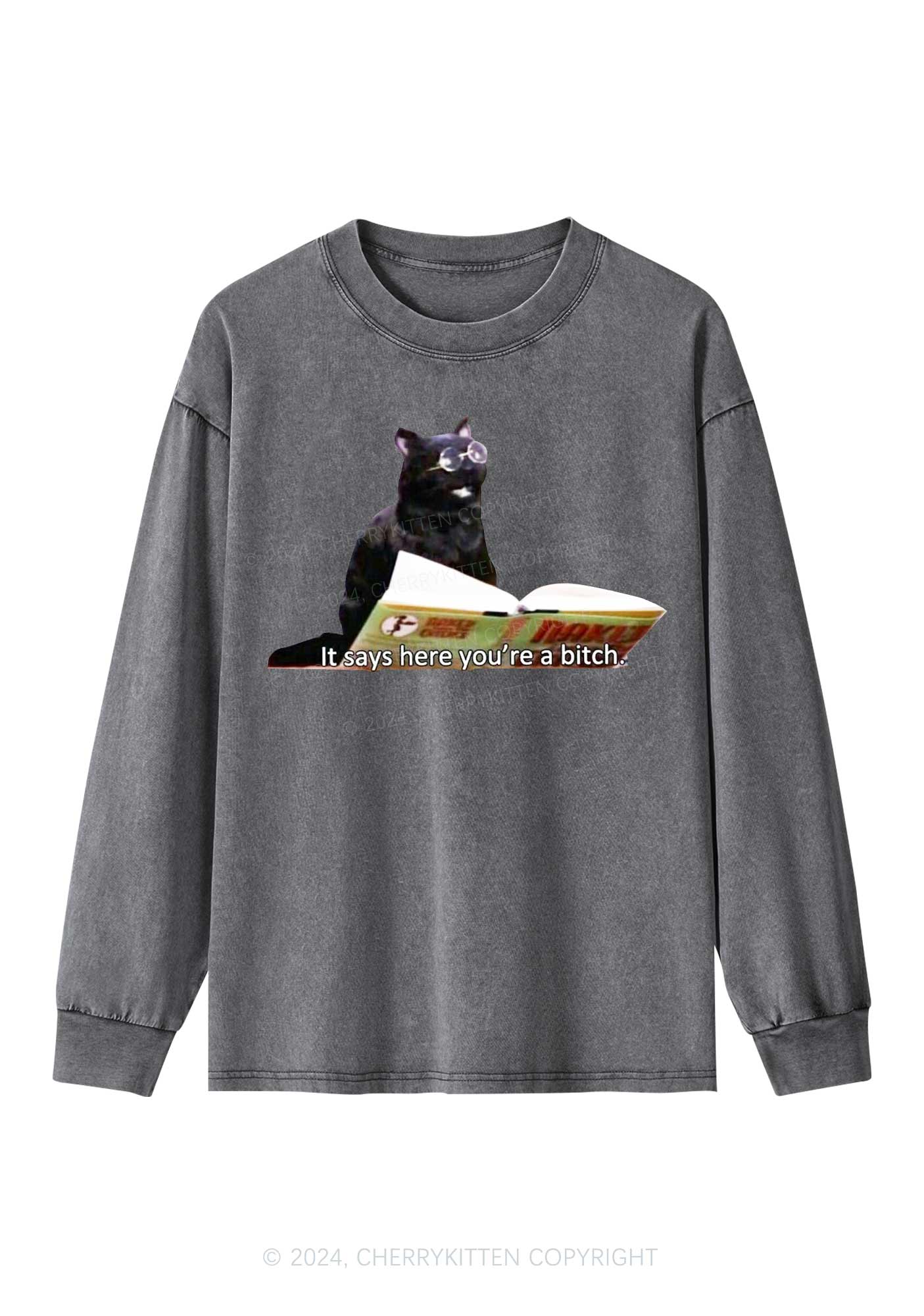 It Says Here You're A Bixxh Y2K Washed Long Sleeves Cherrykitten