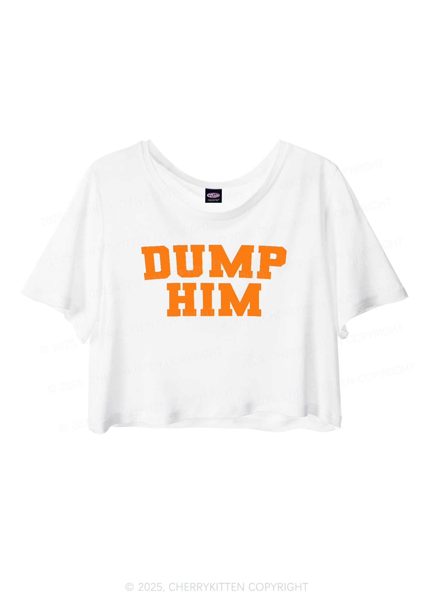 Dump Him Y2K Sheer Crop Tee Cherrykitten