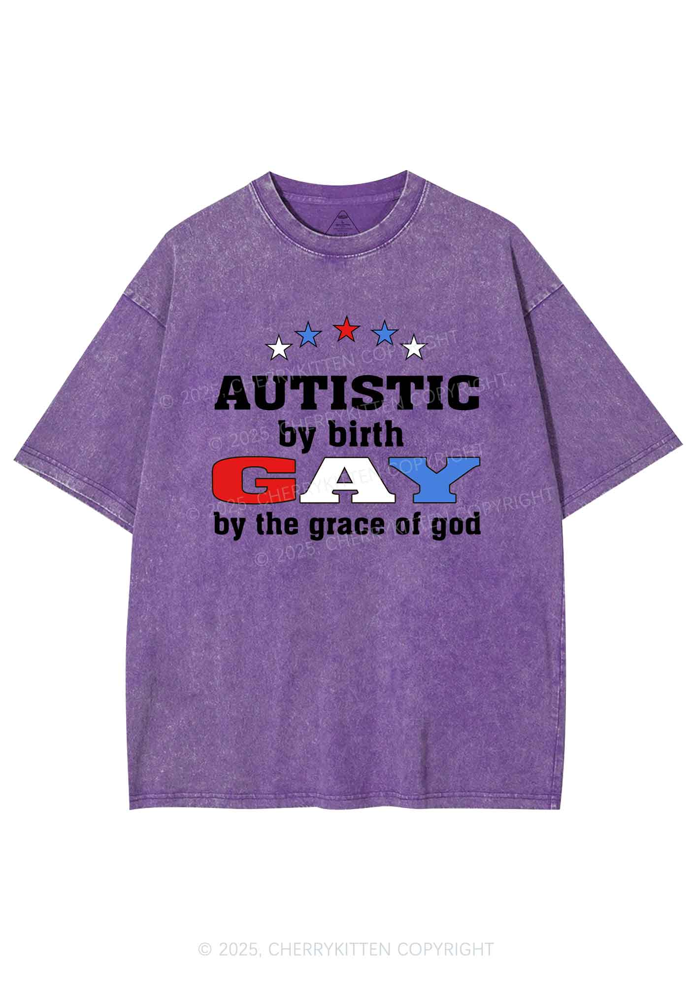 Autistic By Birth Gay Pride Y2K Shirts Washed Tee Cherrykitten