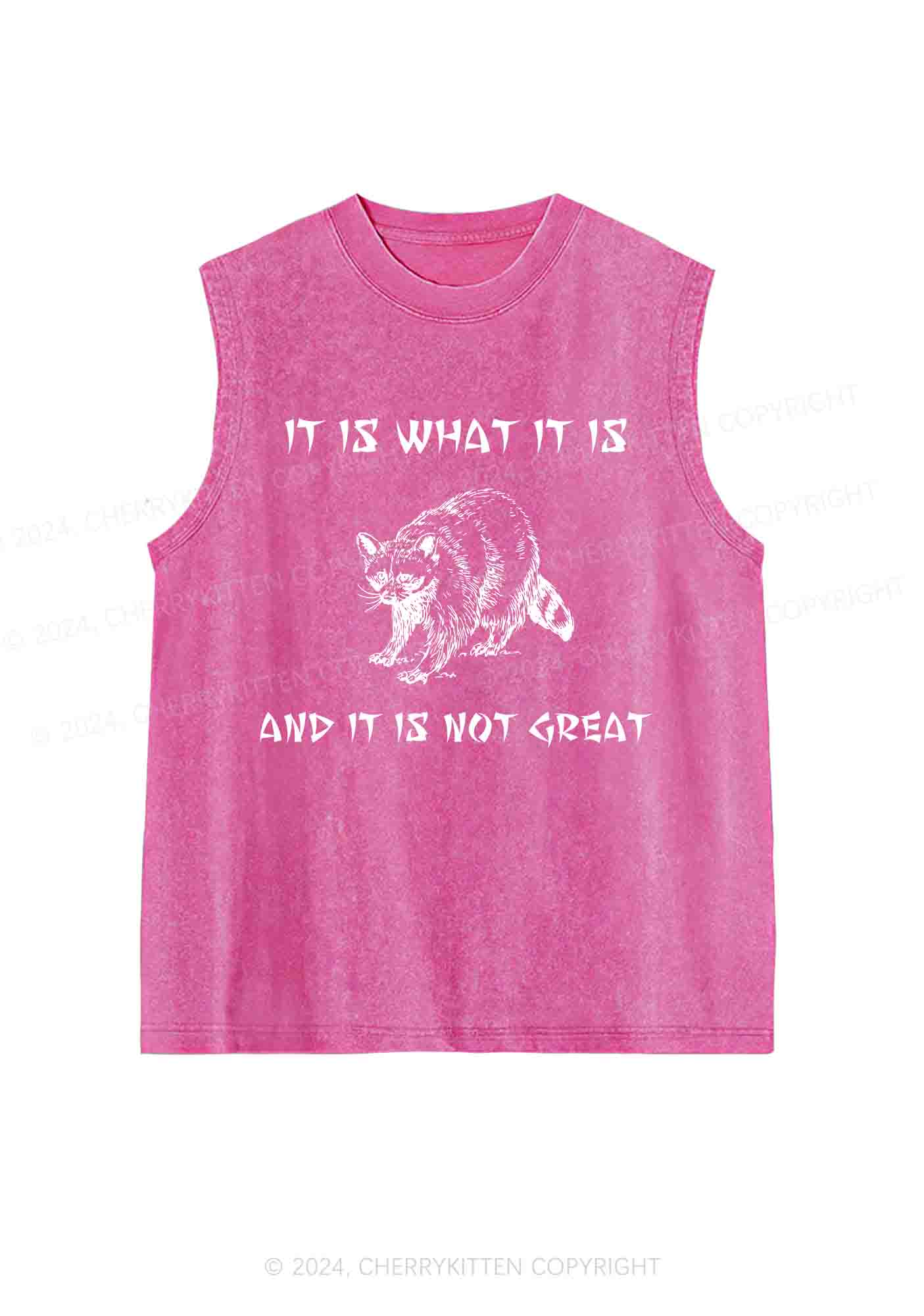 It Is What It Is And It Is Not Great Y2K Washed Tank Cherrykitten