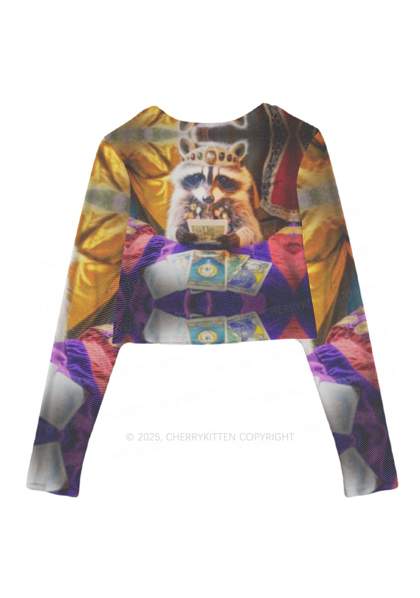 Tarot Raccoon Y2K Mesh Long Sleeve Crop Top Cherrykitten